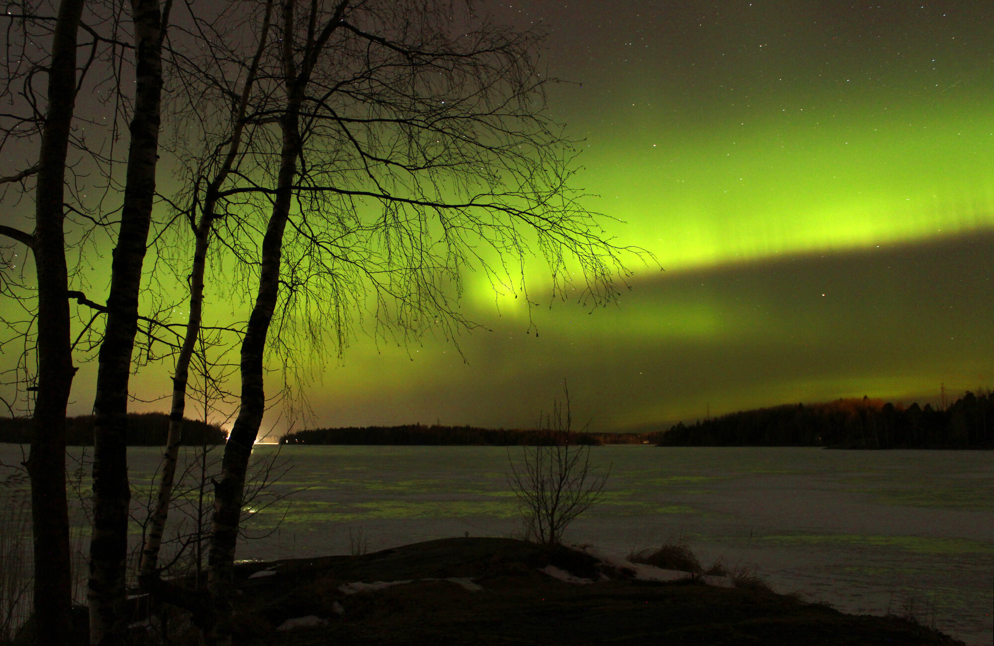 Valokuvaaja: Paula Savelius-Kontinen Valokuvaaja: Paula Savelius-Kontinen