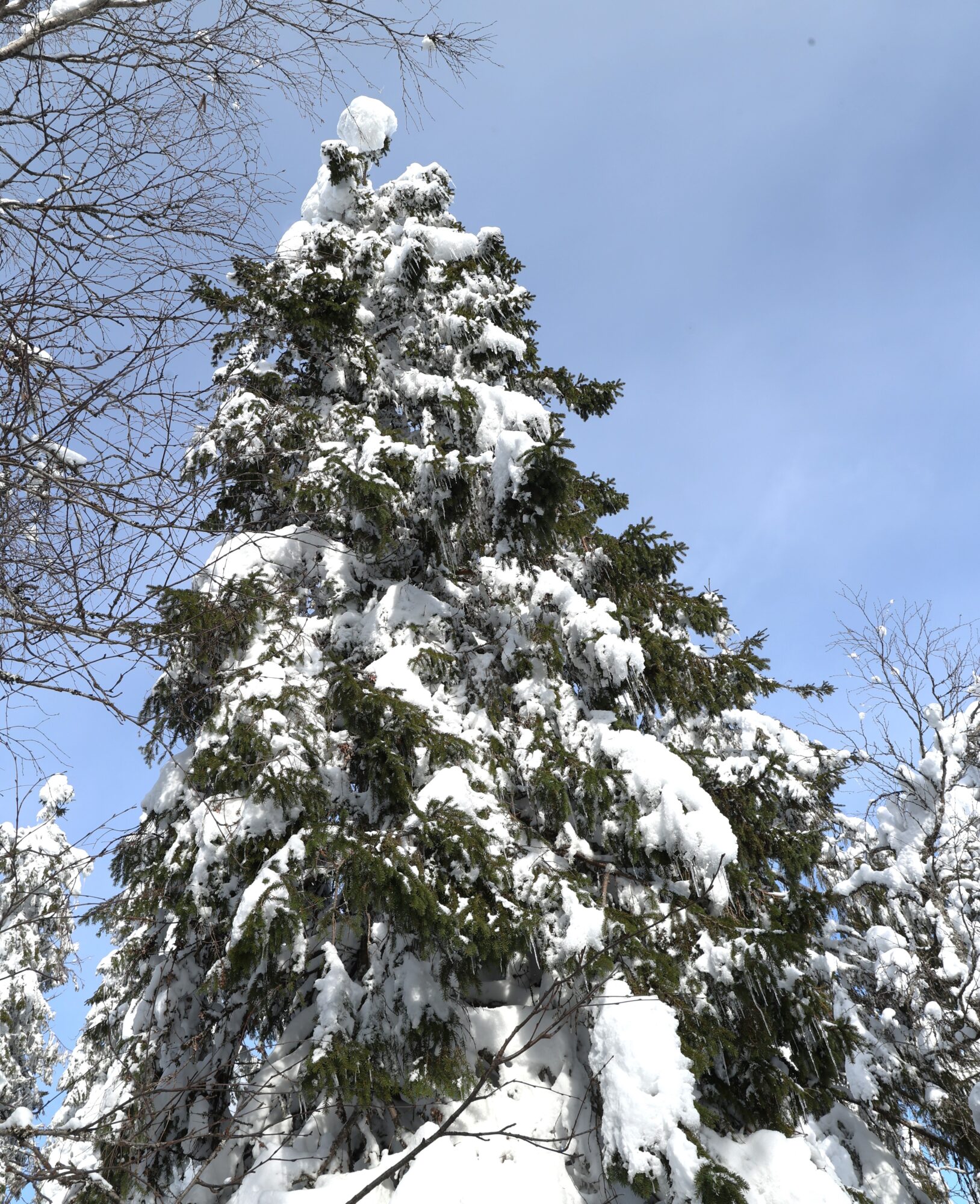 Valokuvaaja: Kaarina Heiskanen Valokuvaaja: Kaarina Heiskanen