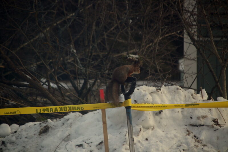 Valokuvaaja: Helena Sytelä Valokuvaaja: Helena Sytelä