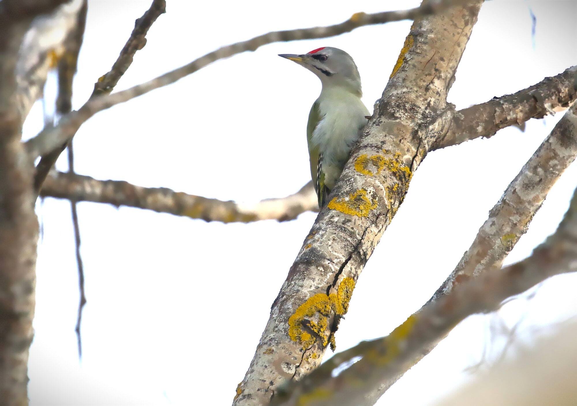 Valokuvaaja: Antero Tykkyläinen