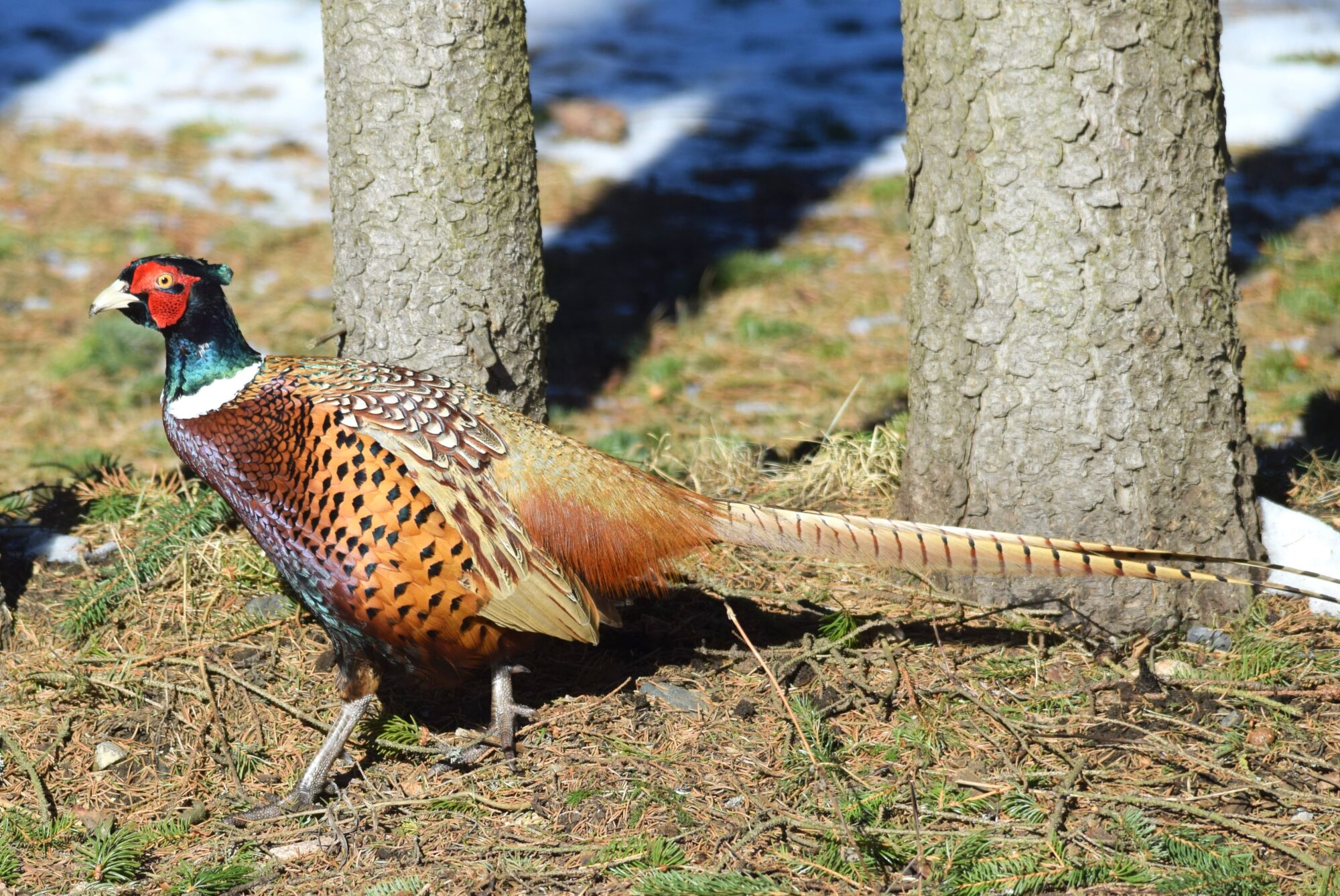 Valokuvaaja: Kaarlo Asikainen Valokuvaaja: Kaarlo Asikainen