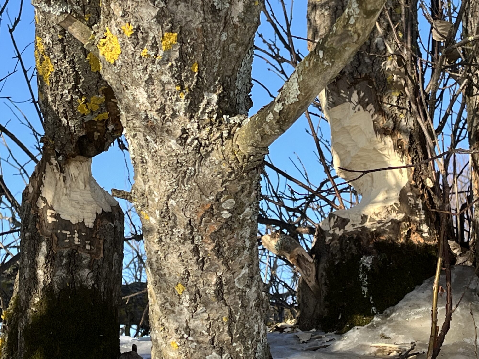 Valokuvaaja: Tuukka Pahtamaa