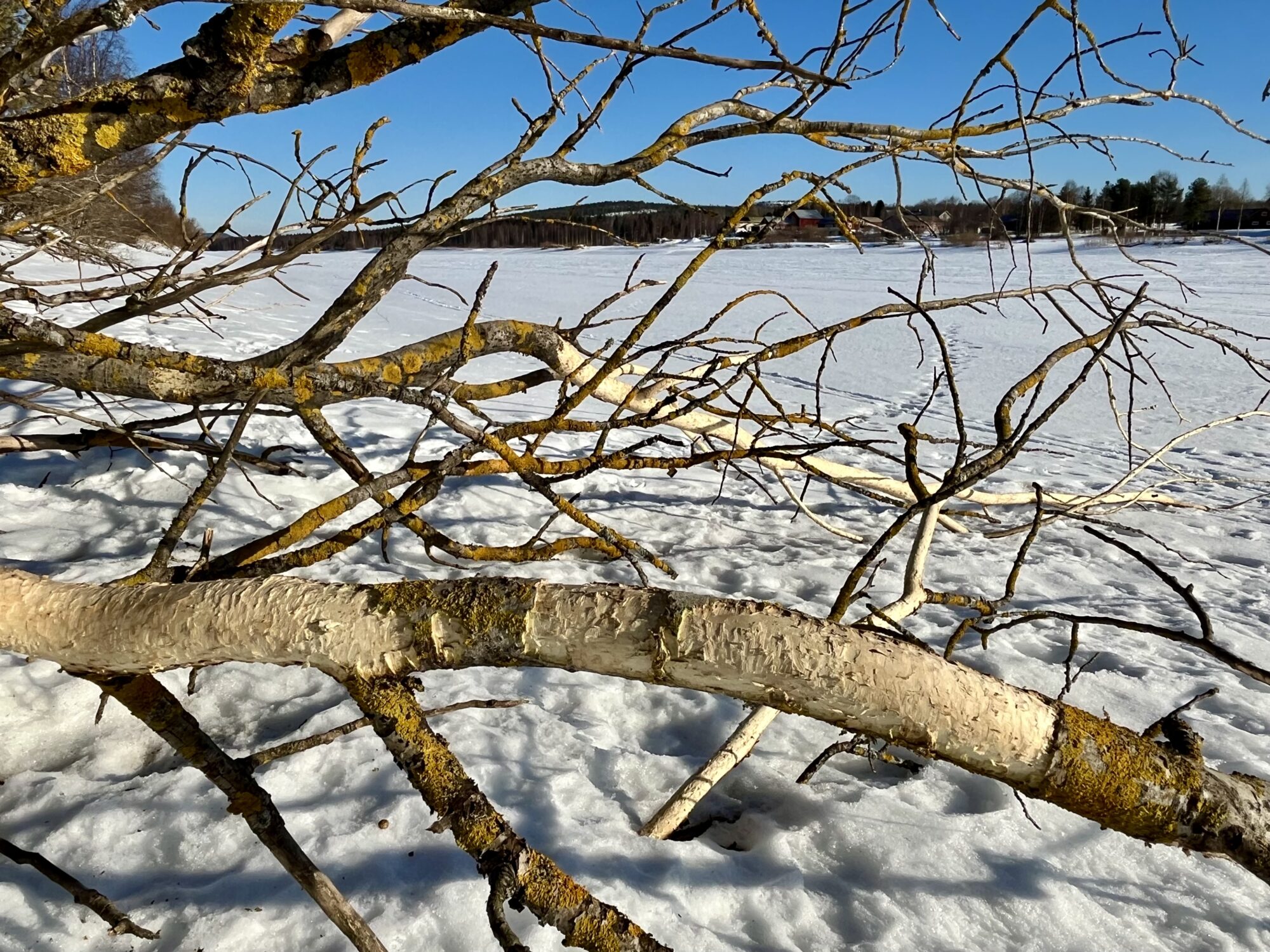 Valokuvaaja: Tuukka Pahtamaa