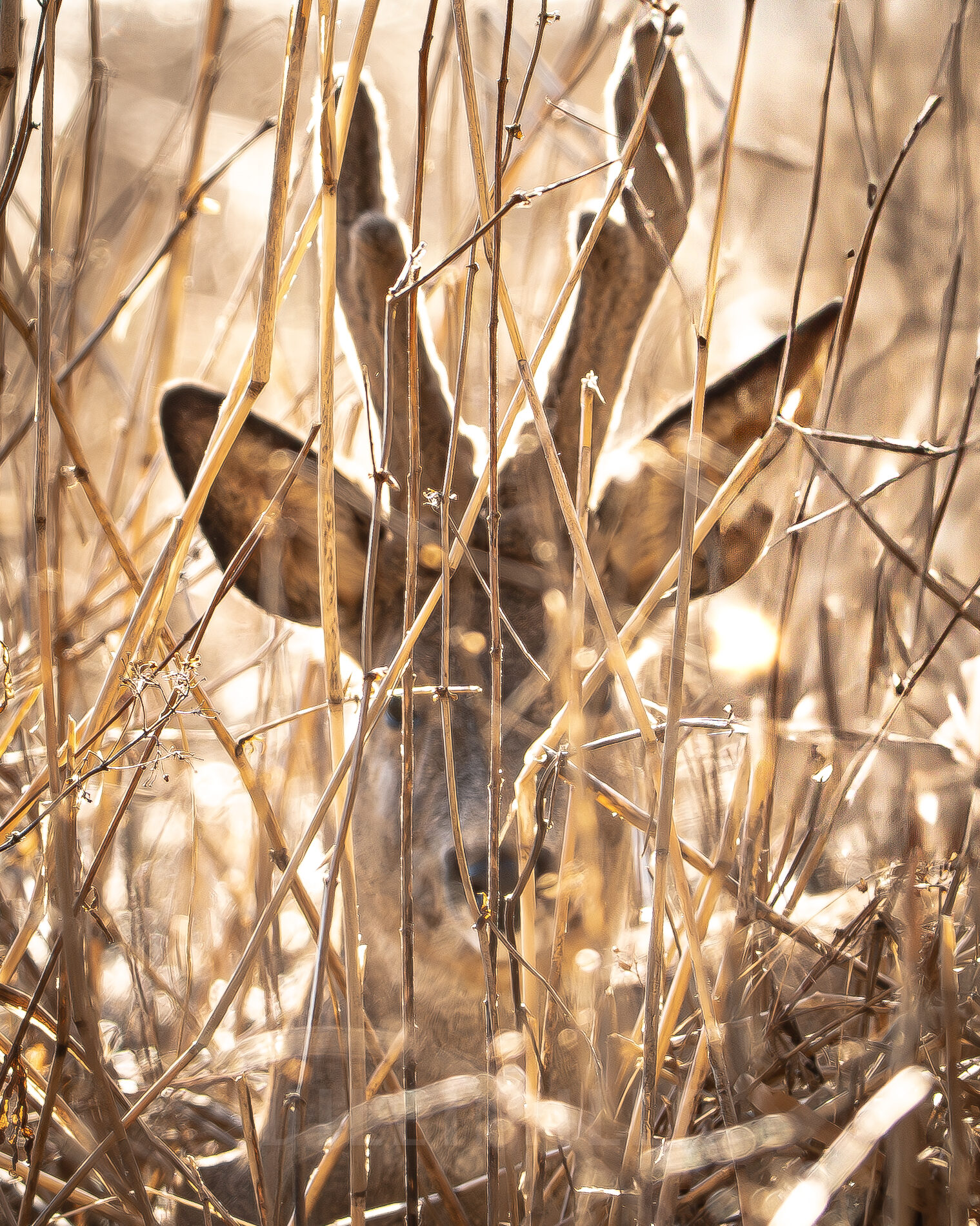 Valokuvaaja: Milla Rannila Valokuvaaja: Milla Rannila