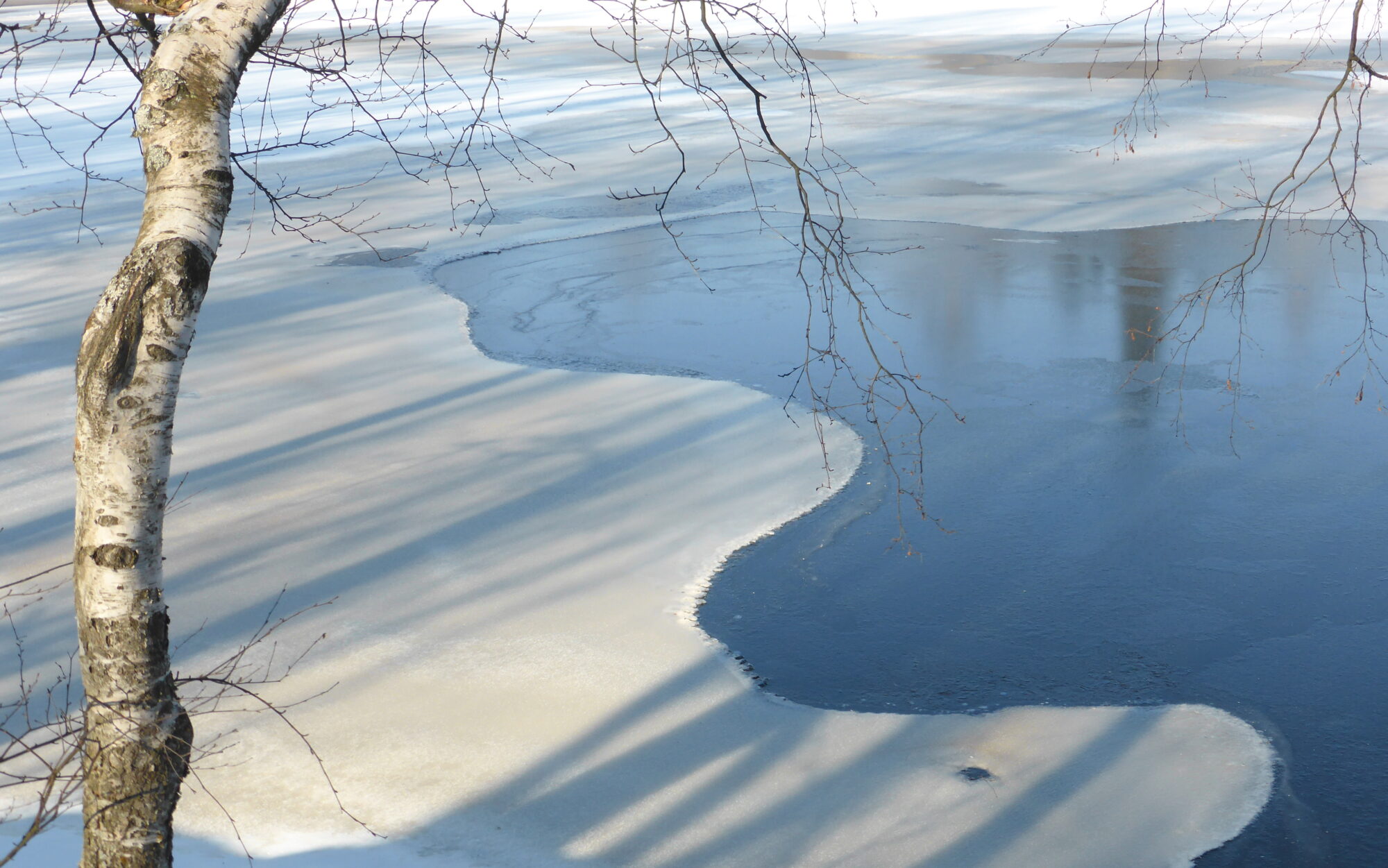 Valokuvaaja: Kaarlo Asikainen