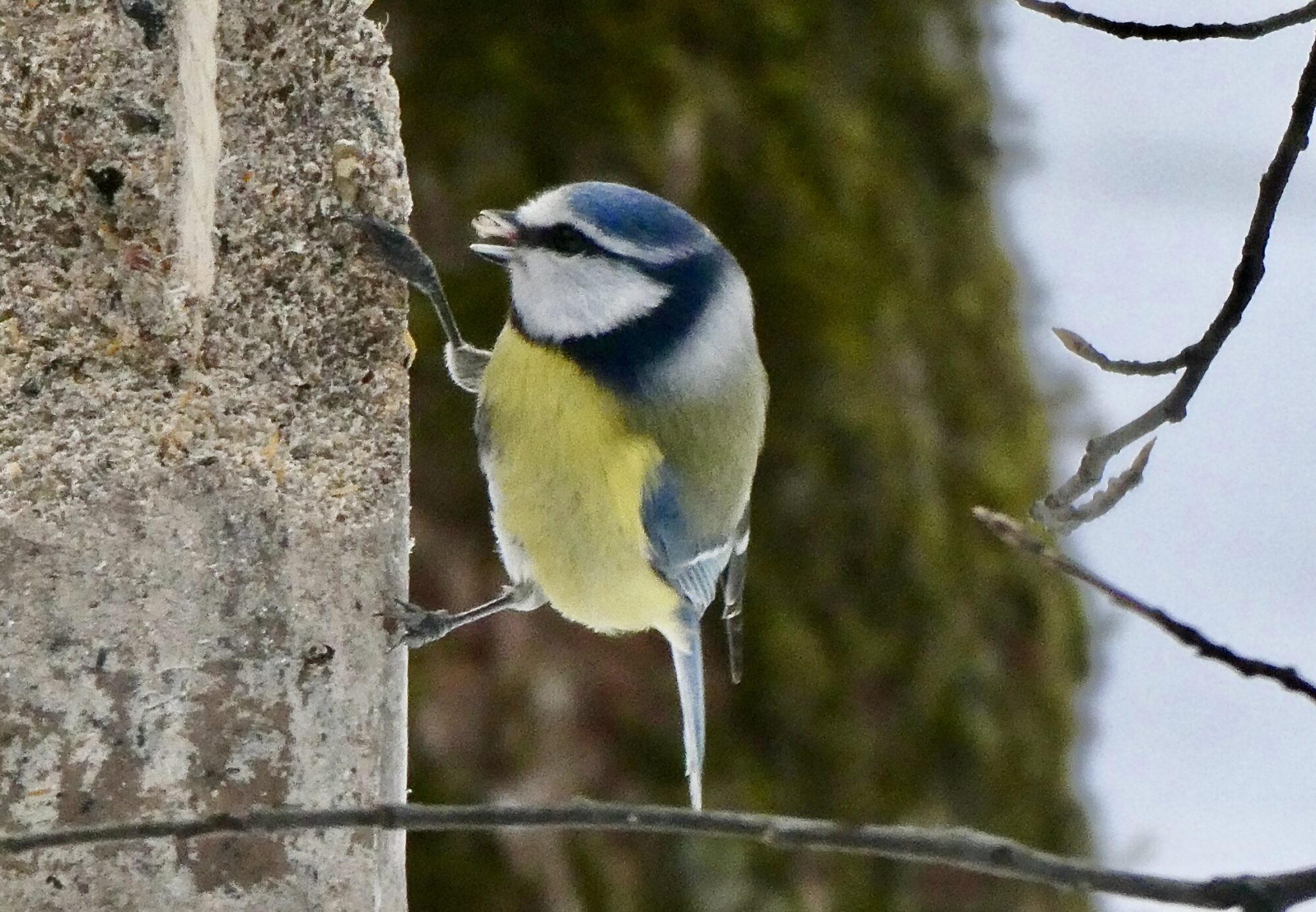 Valokuvaaja: Liisa Niiva-Korpela Valokuvaaja: Liisa Niiva-Korpela