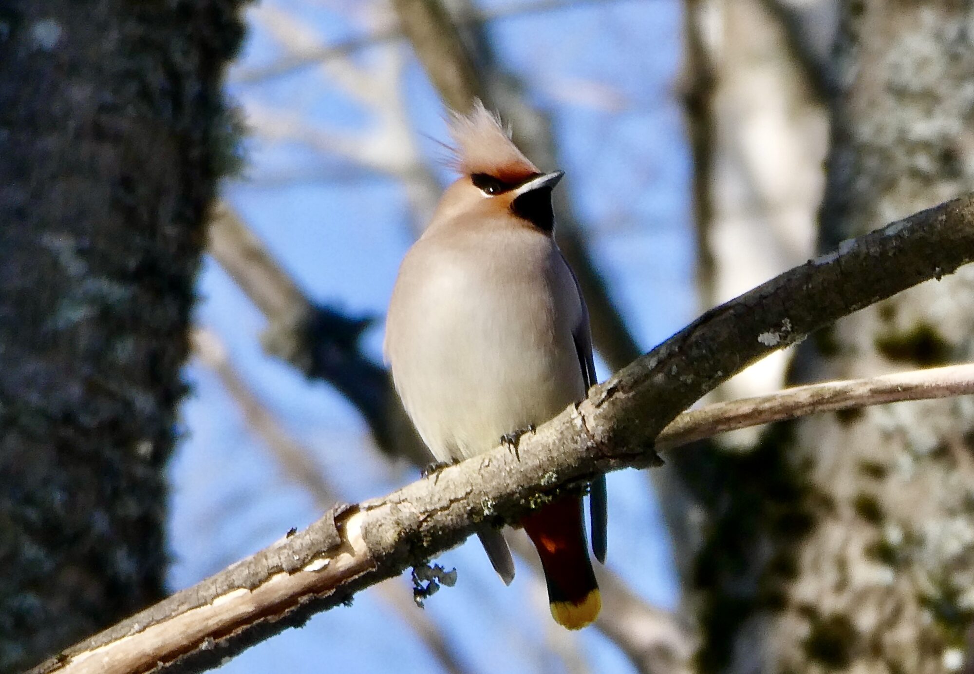 Valokuvaaja: Liisa Niiva-Korpela Valokuvaaja: Liisa Niiva-Korpela