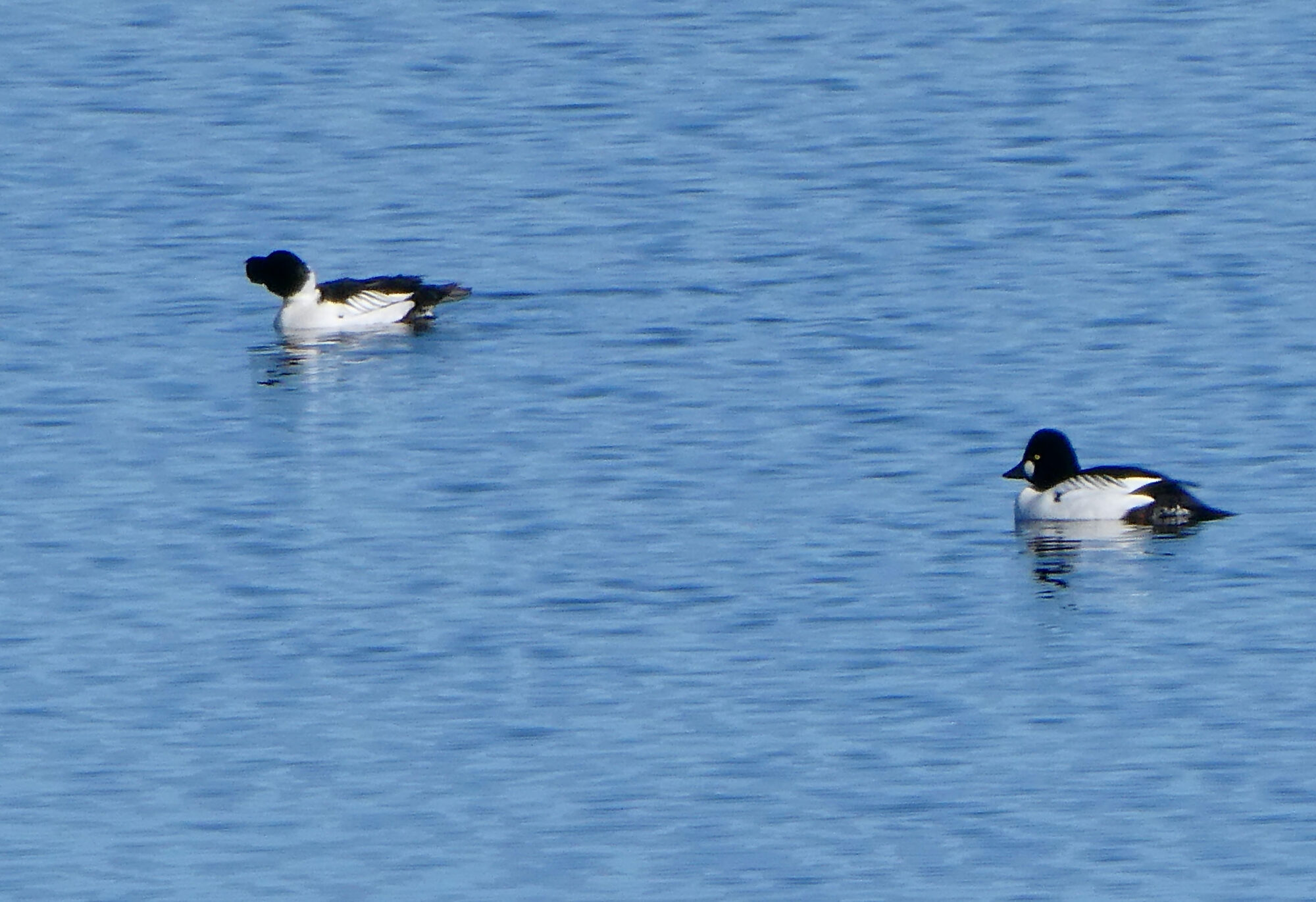 Valokuvaaja: Liisa Niiva-Korpela