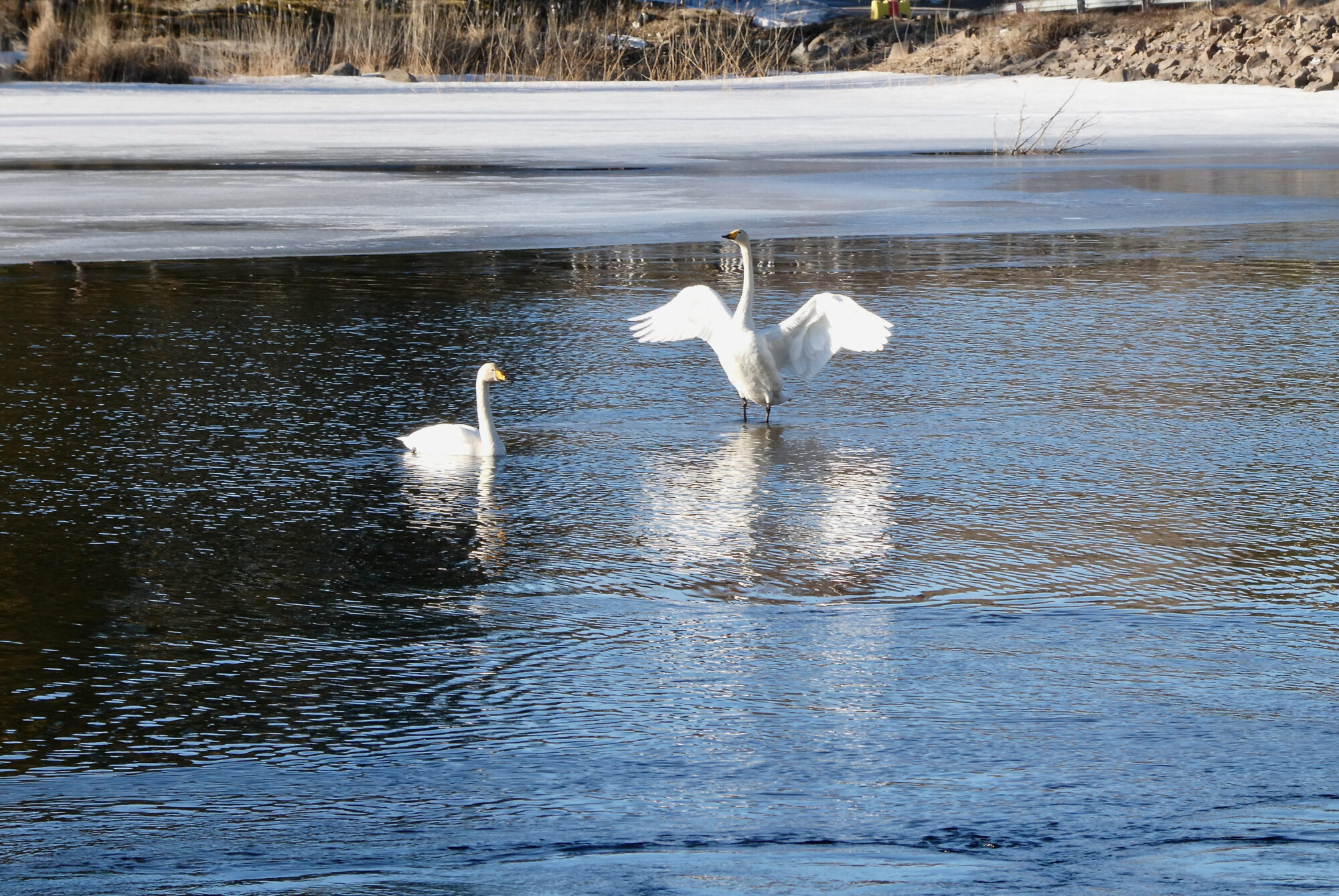 Valokuvaaja: Liisa Niiva-Korpela