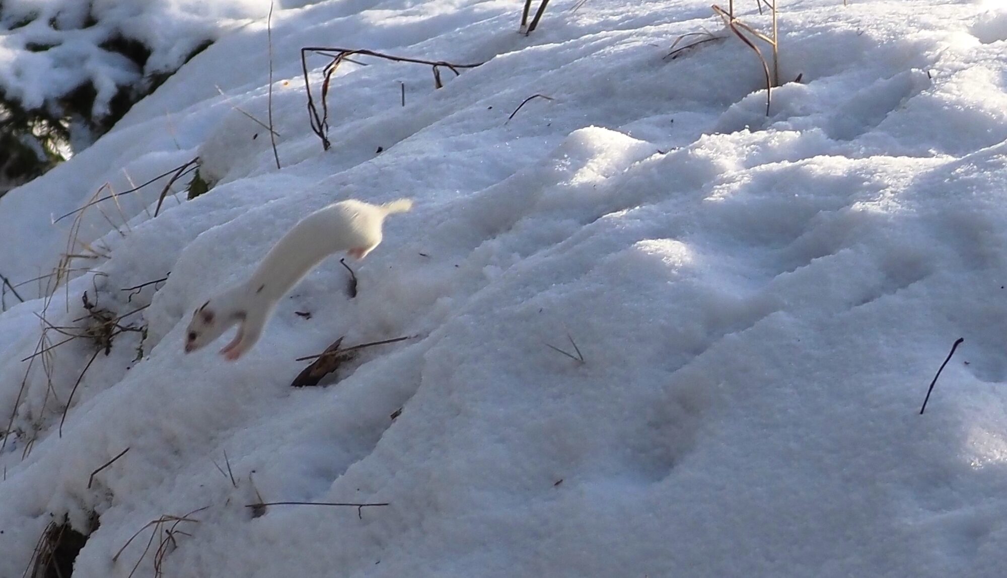 Valokuvaaja: Arja Valtonen
