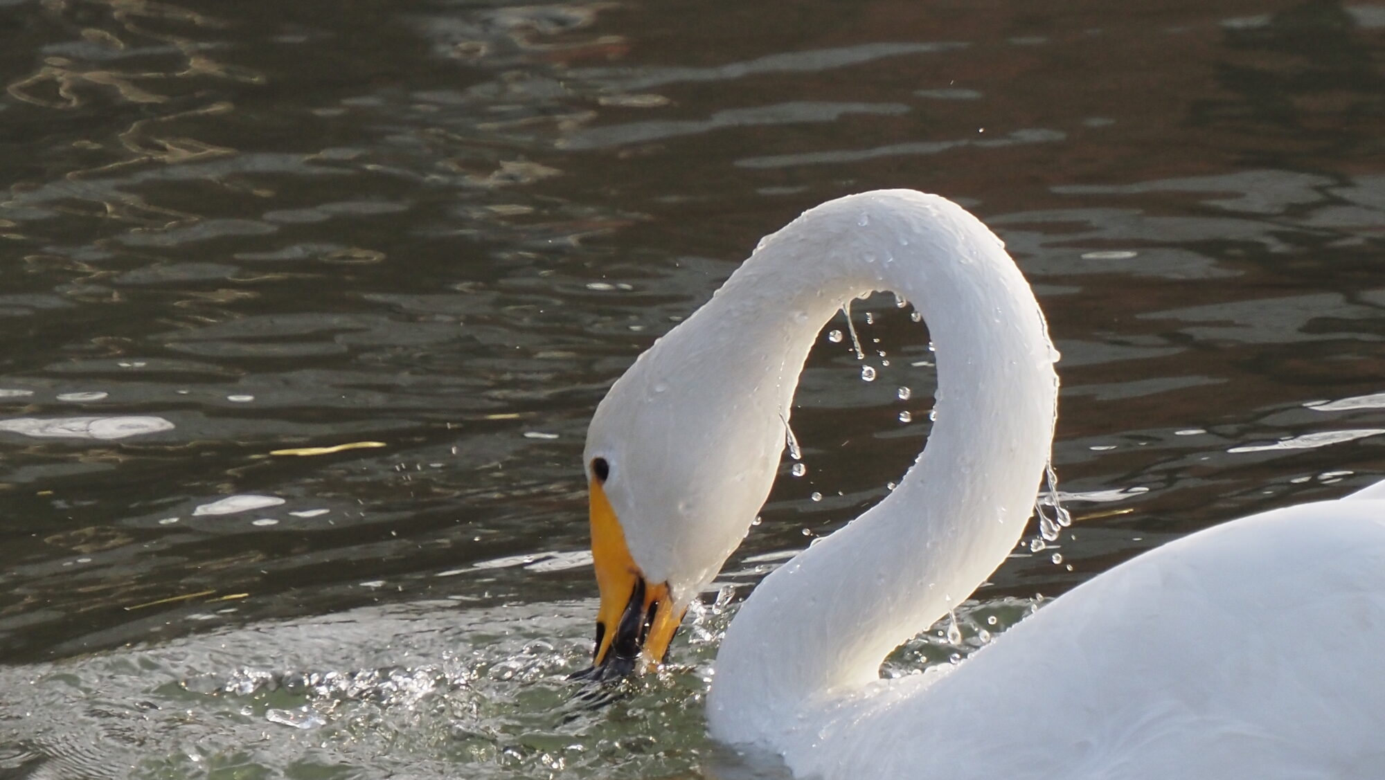 Valokuvaaja: Arja Valtonen Valokuvaaja: Arja Valtonen