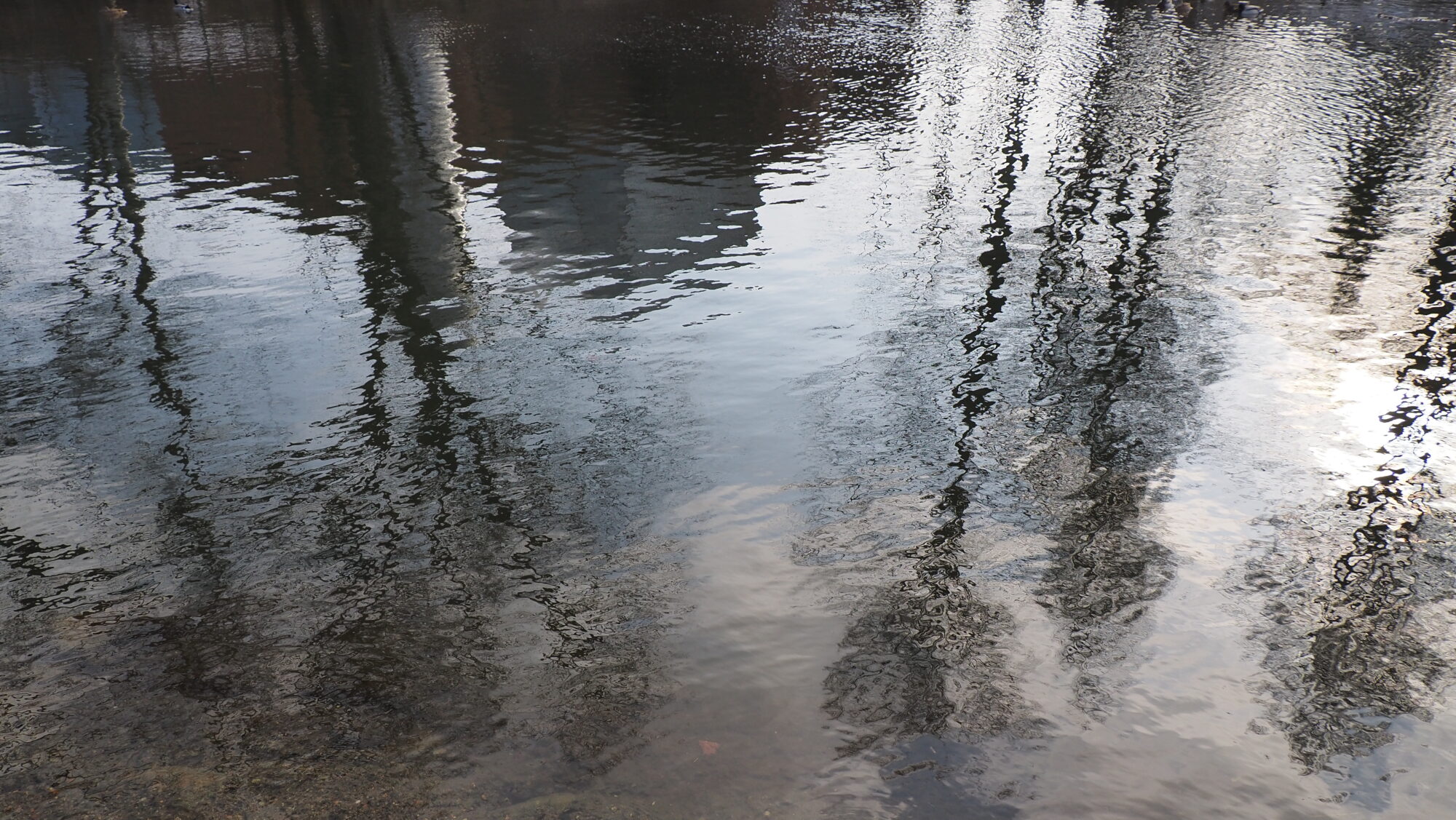 Valokuvaaja: Arja Valtonen Valokuvaaja: Arja Valtonen