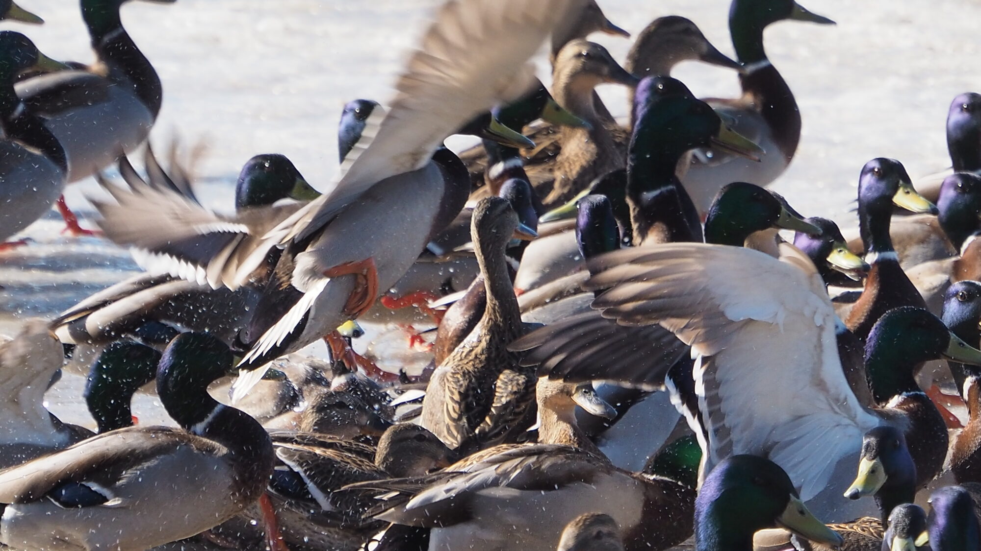 Valokuvaaja: Martti Valtonen Valokuvaaja: Martti Valtonen