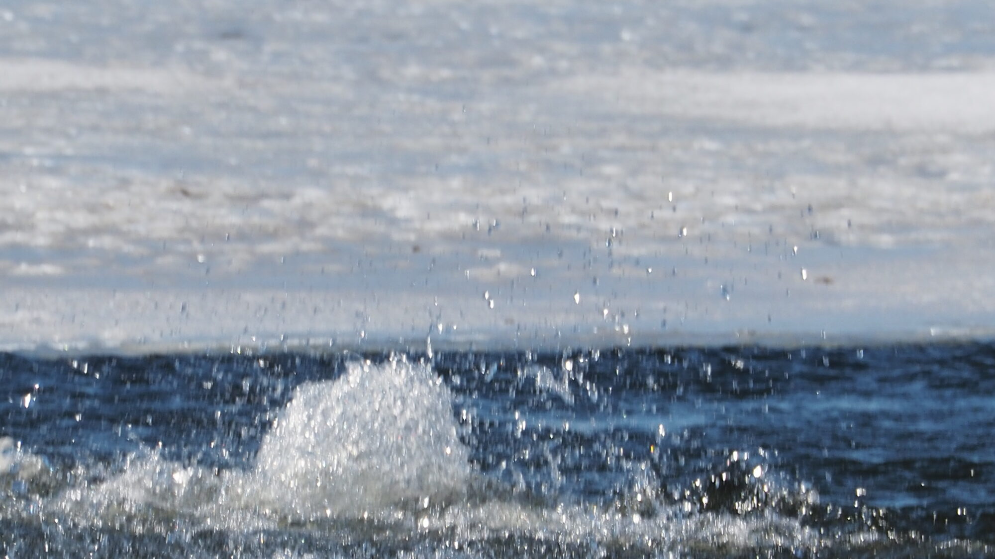 Valokuvaaja: Martti Valtonen Valokuvaaja: Martti Valtonen