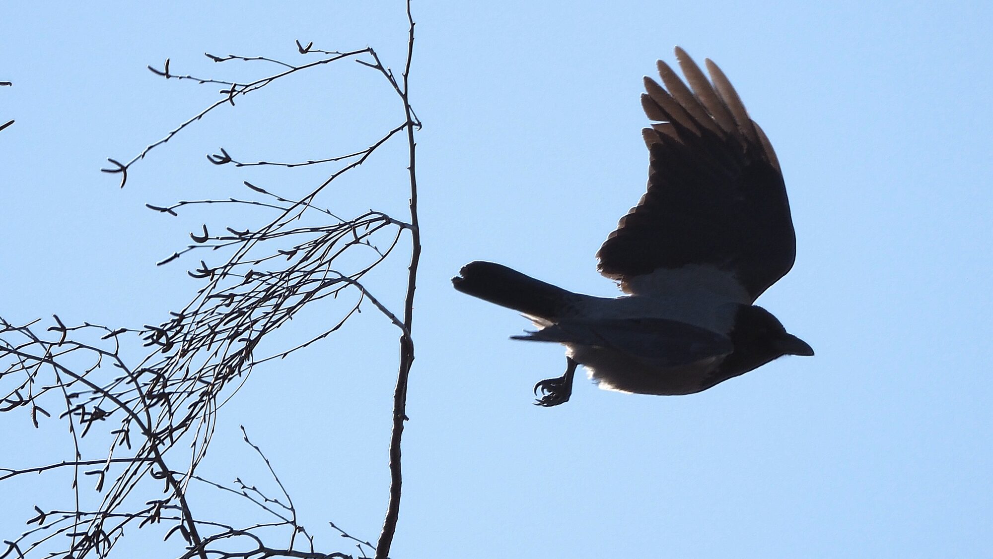 Valokuvaaja: Arja Valtonen Valokuvaaja: Arja Valtonen