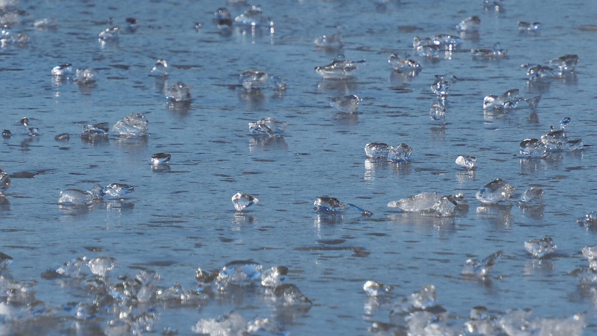 Valokuvaaja: Arja Valtonen Valokuvaaja: Arja Valtonen