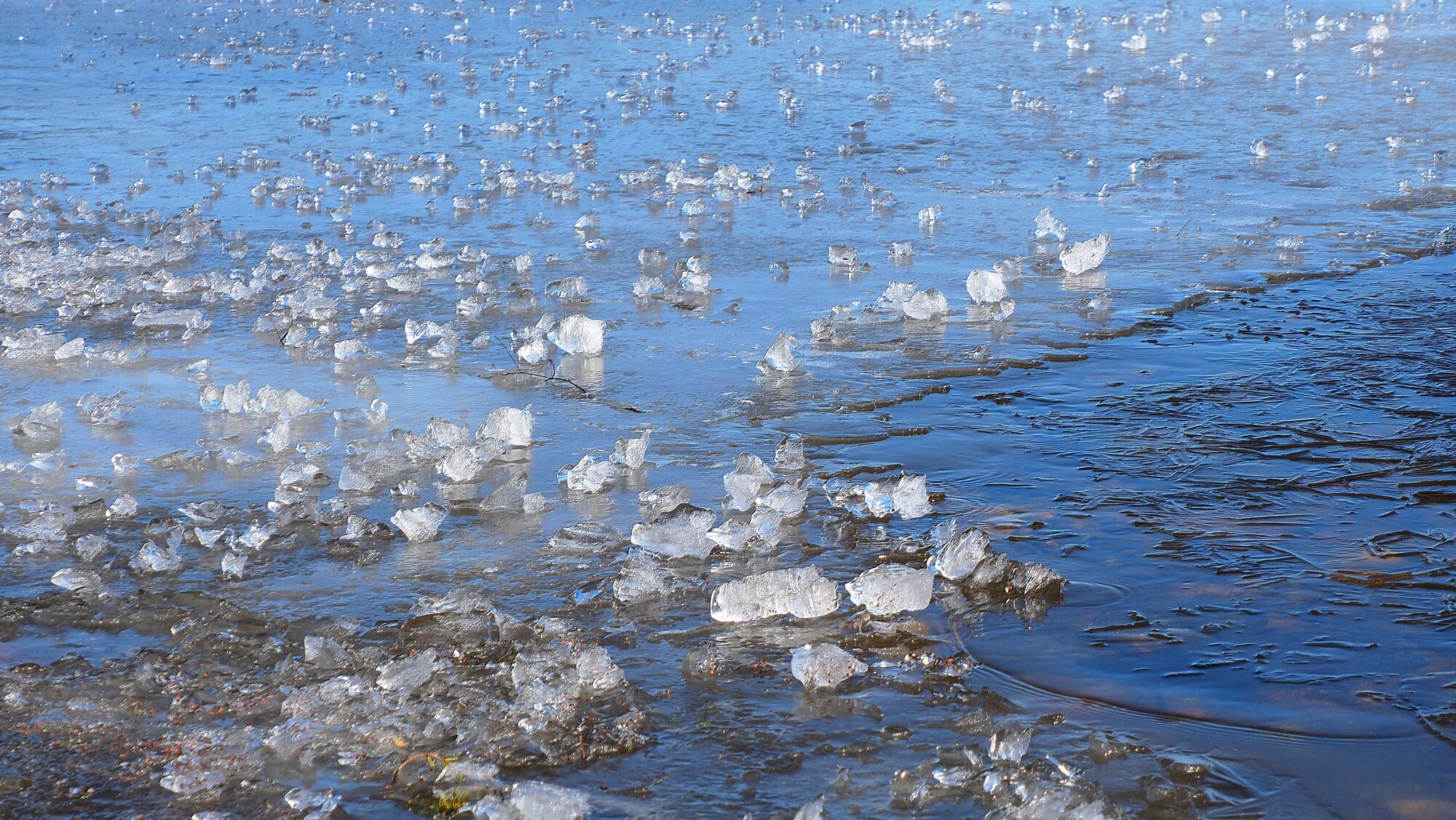 Valokuvaaja: Arja Valtonen