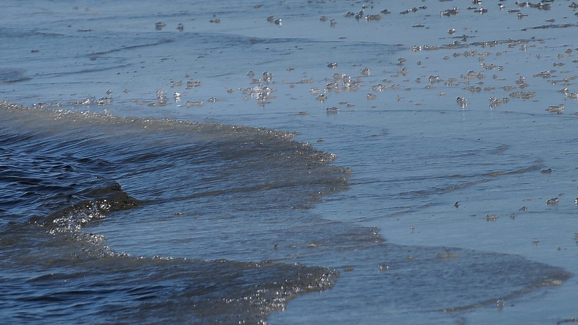 Valokuvaaja: Arja Valtonen Valokuvaaja: Arja Valtonen