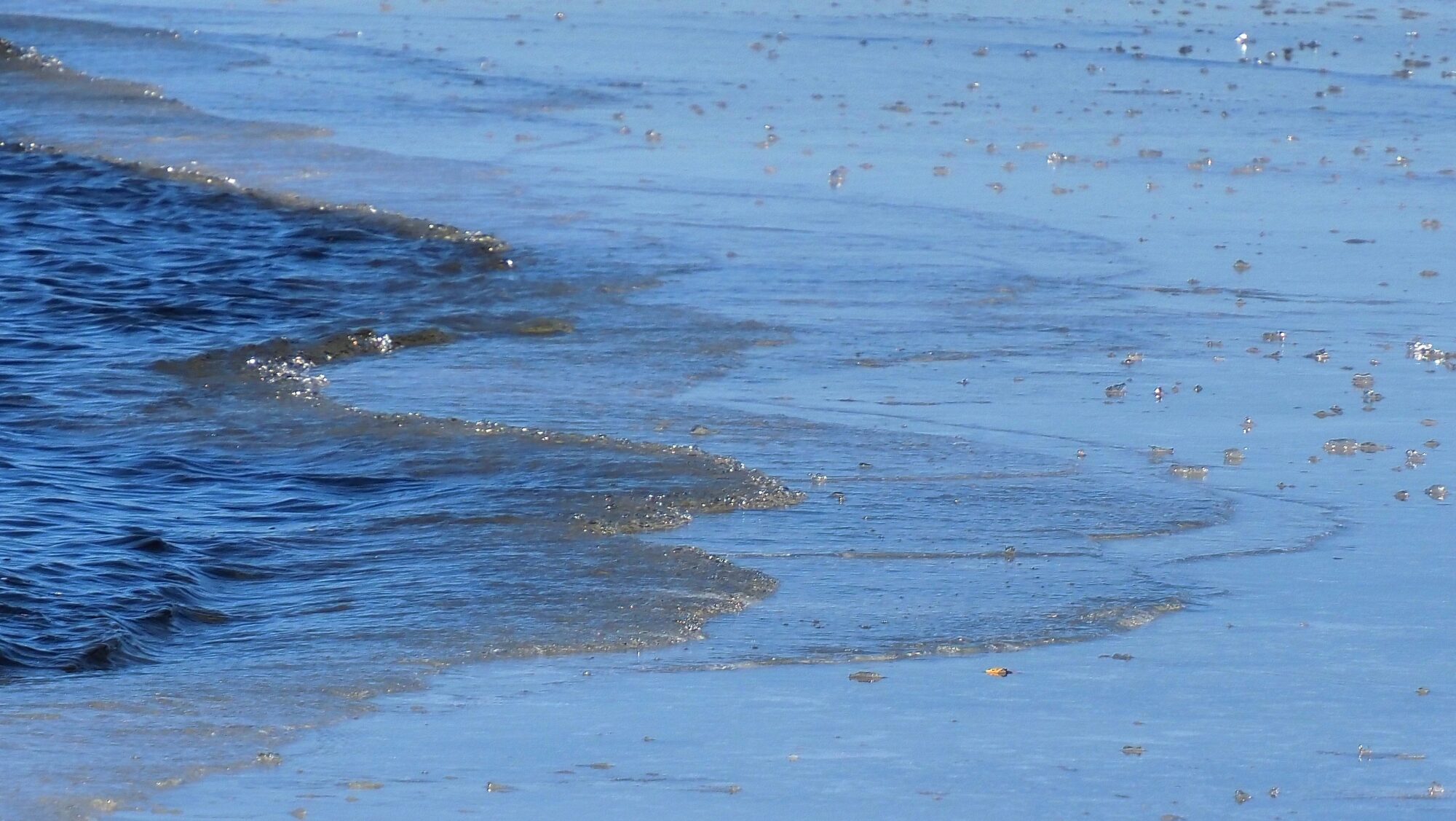 Valokuvaaja: Arja Valtonen