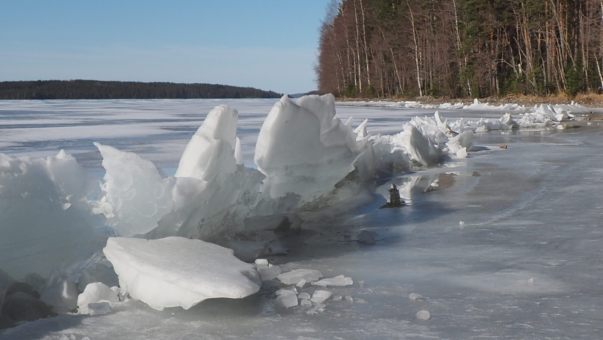 Valokuvaaja: Arja Valtonen Valokuvaaja: Arja Valtonen