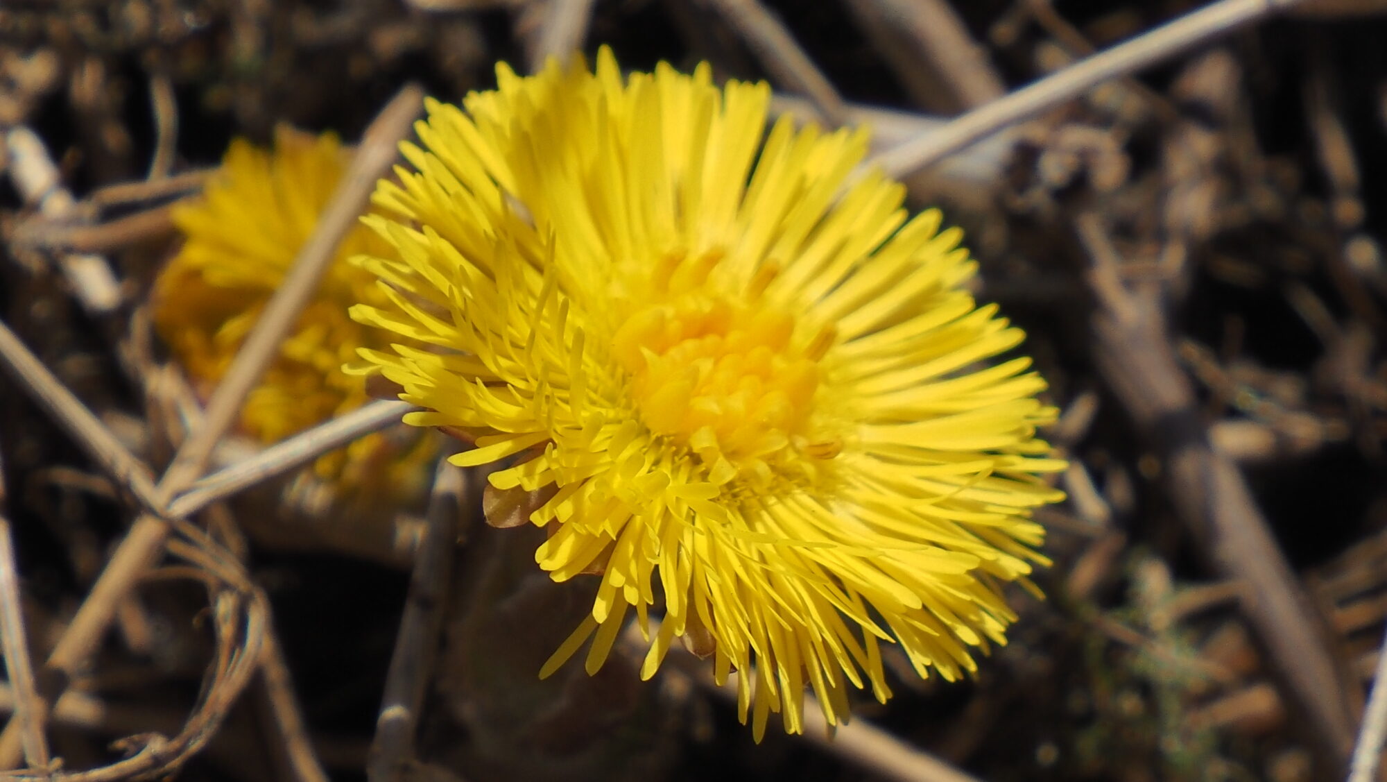 Valokuvaaja: Arja Valtonen Valokuvaaja: Arja Valtonen