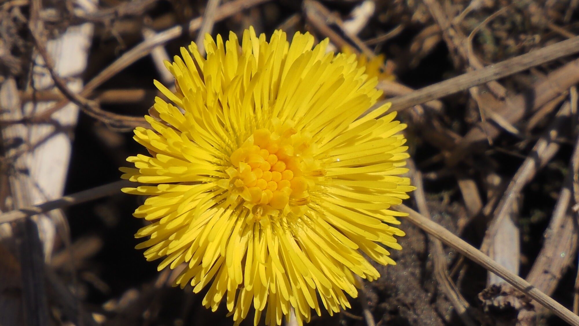 Valokuvaaja: Arja Valtonen