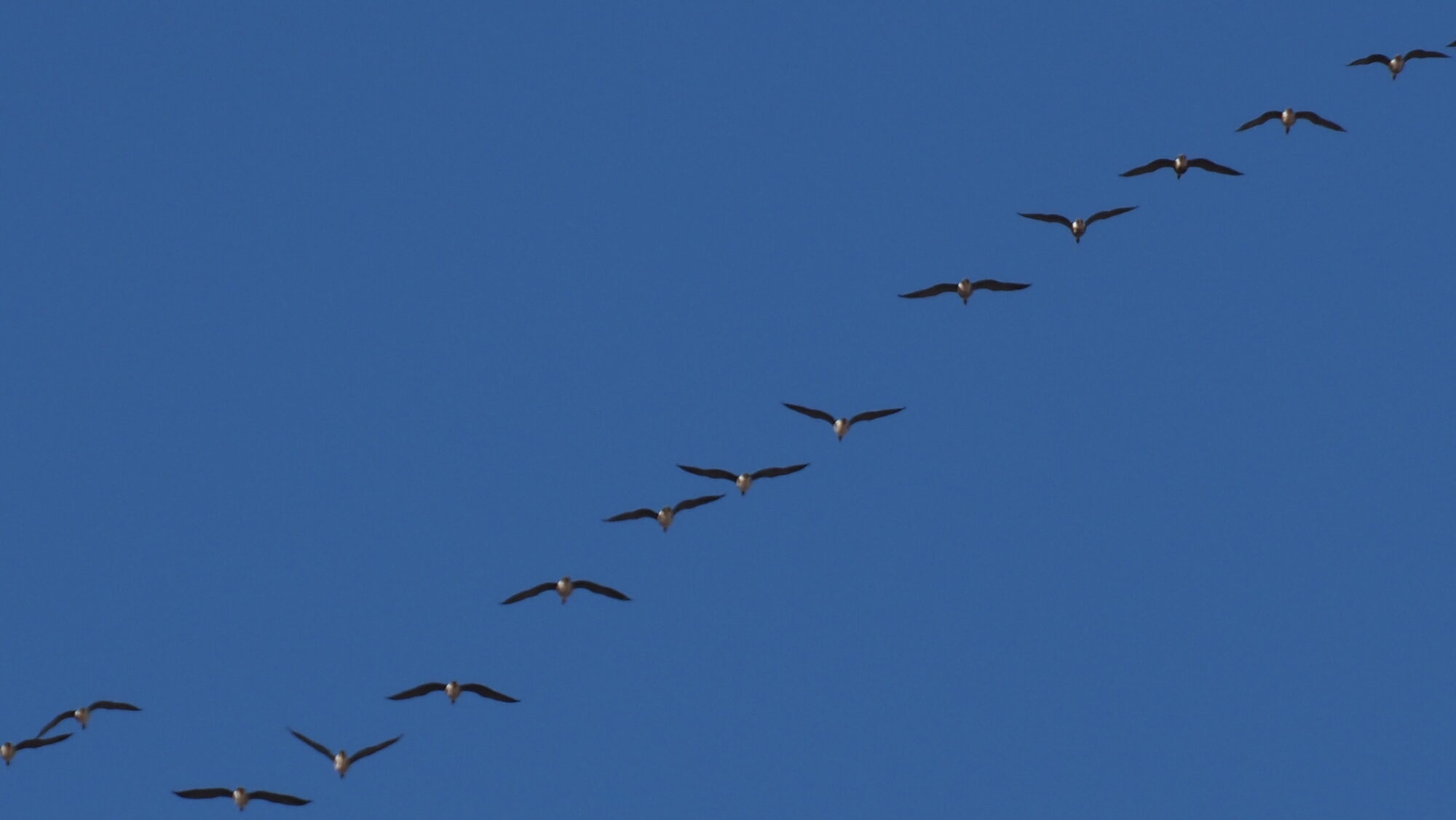 Valokuvaaja: Arja Valtonen Valokuvaaja: Arja Valtonen