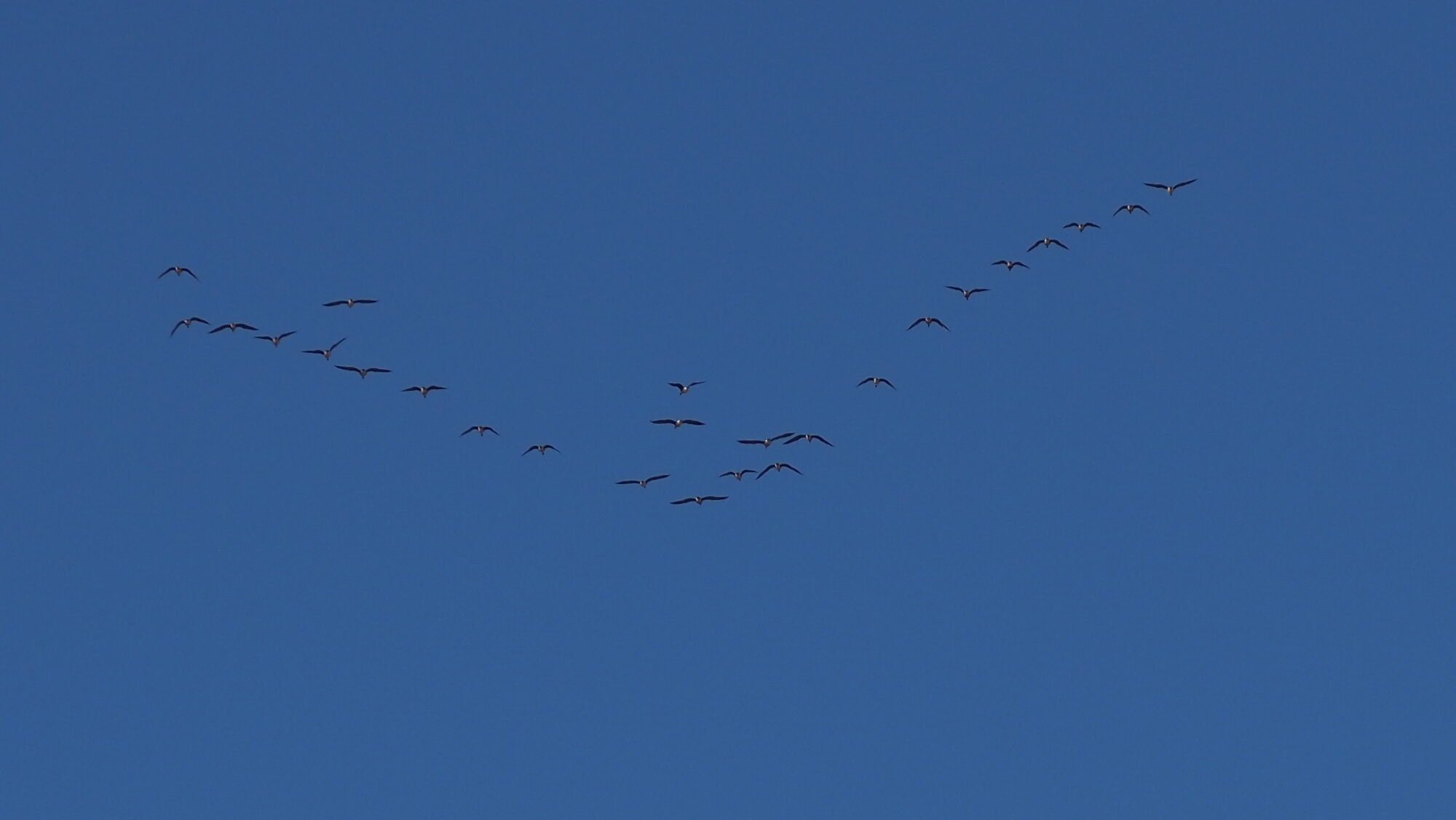 Valokuvaaja: Arja Valtonen Valokuvaaja: Arja Valtonen