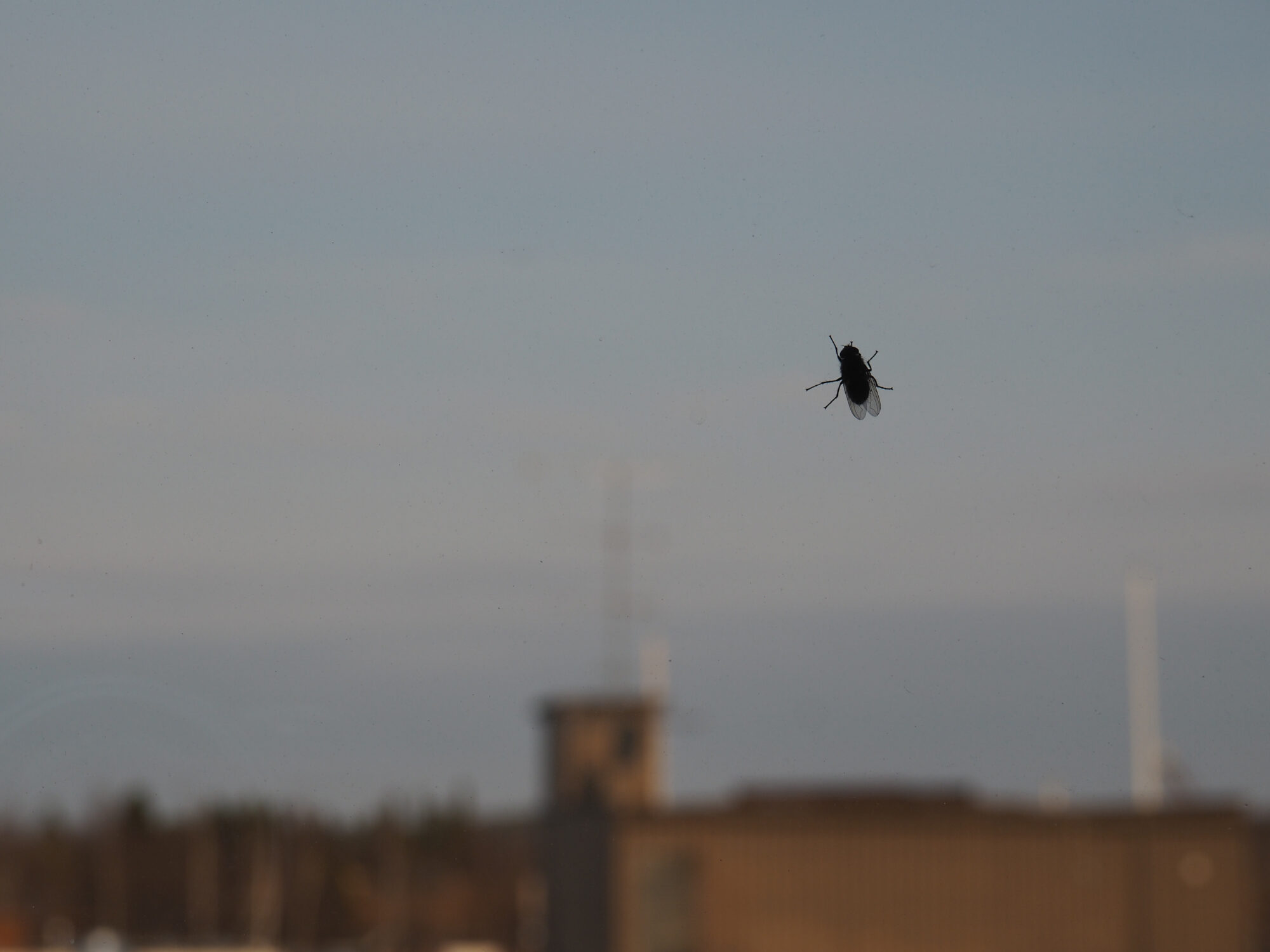 Valokuvaaja: Toni Asikainen Valokuvaaja: Toni Asikainen