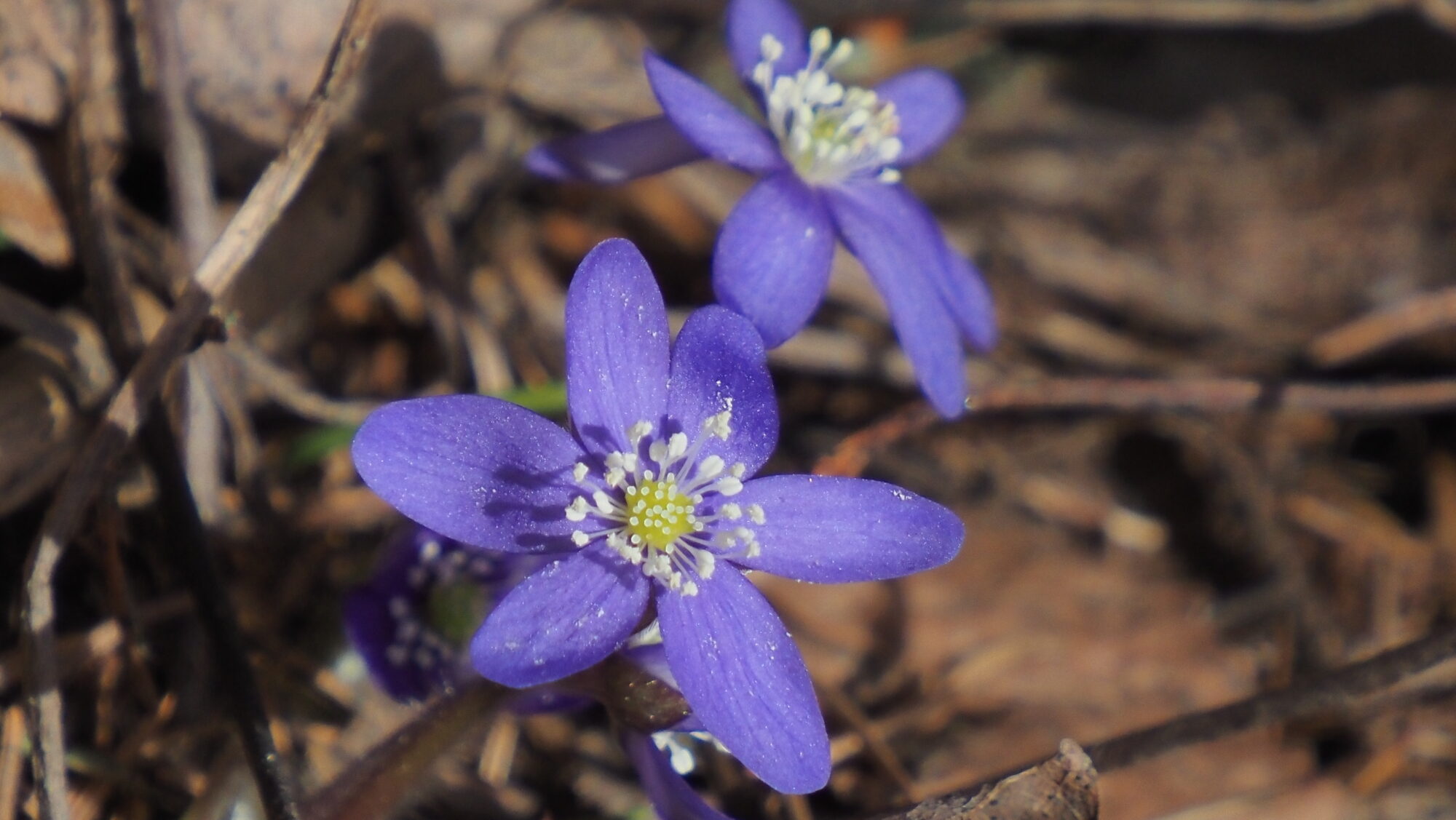 Valokuvaaja: Arja Valtonen