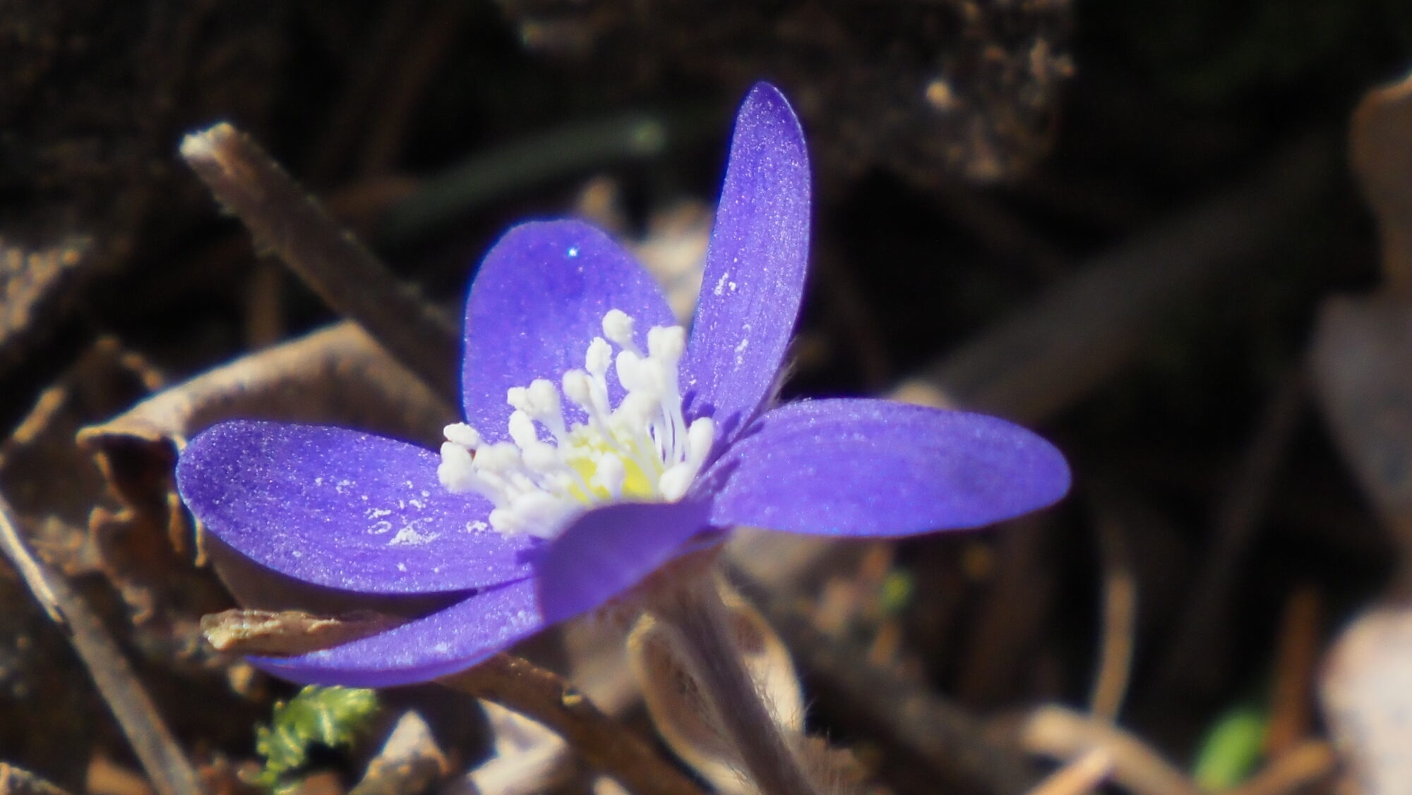 Valokuvaaja: Arja Valtonen Valokuvaaja: Arja Valtonen