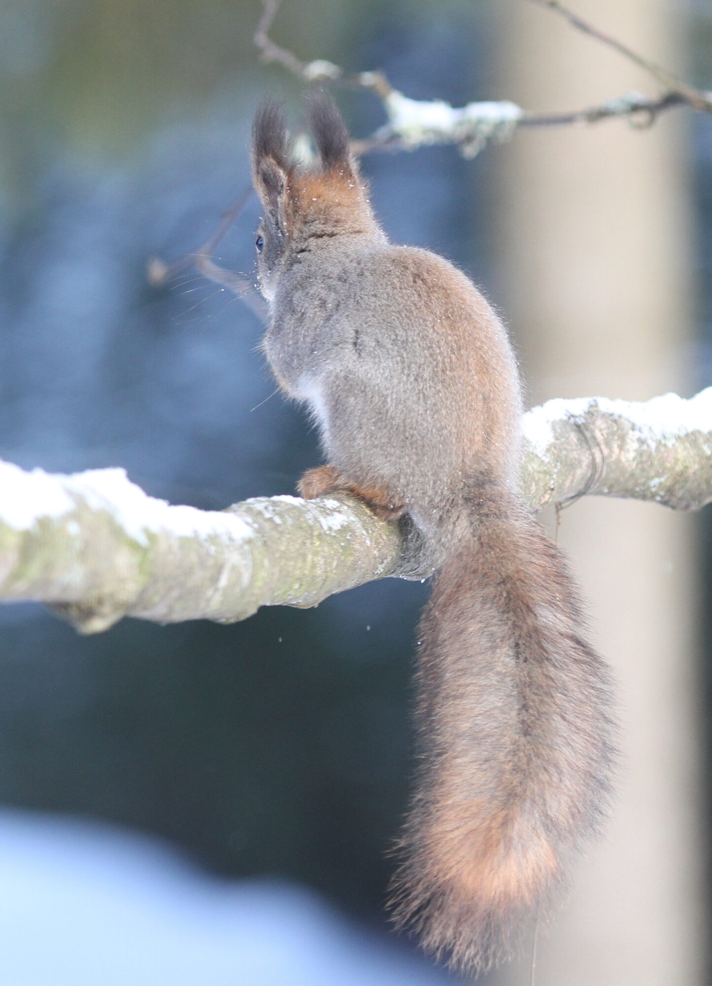 Valokuvaaja: Kaarlo Asikainen Valokuvaaja: Kaarlo Asikainen