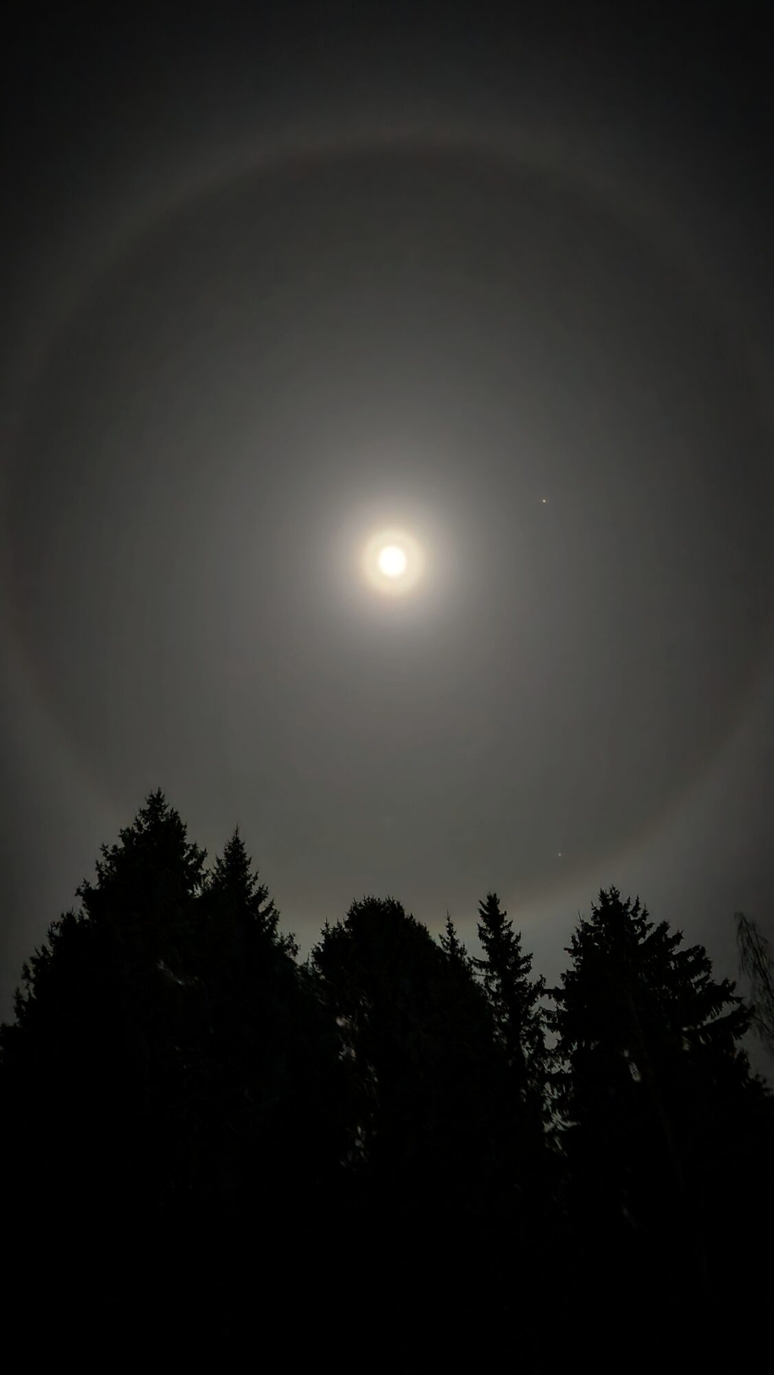 Valokuvaaja: Maija Viljakainen