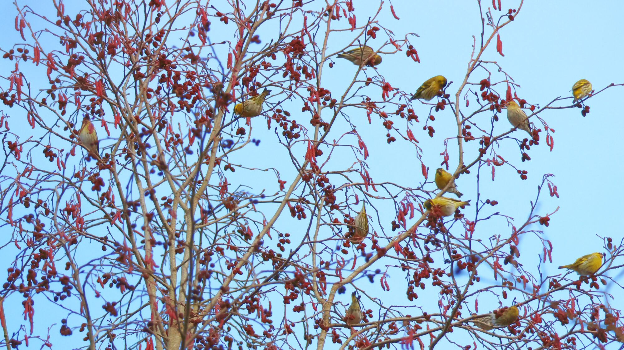 Valokuvaaja: Noora Miettinen