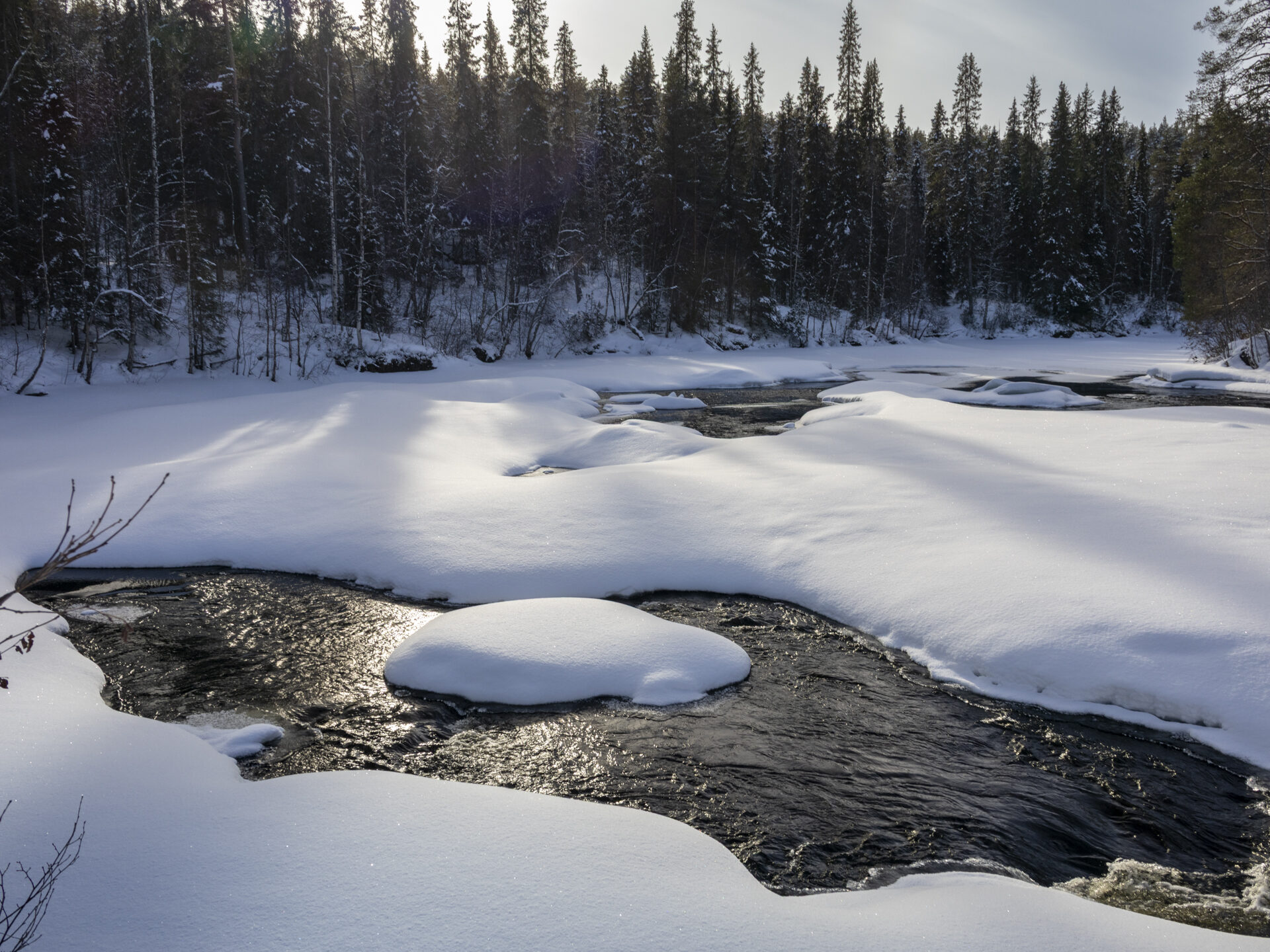 Valokuvaaja: Hannu Tikkanen