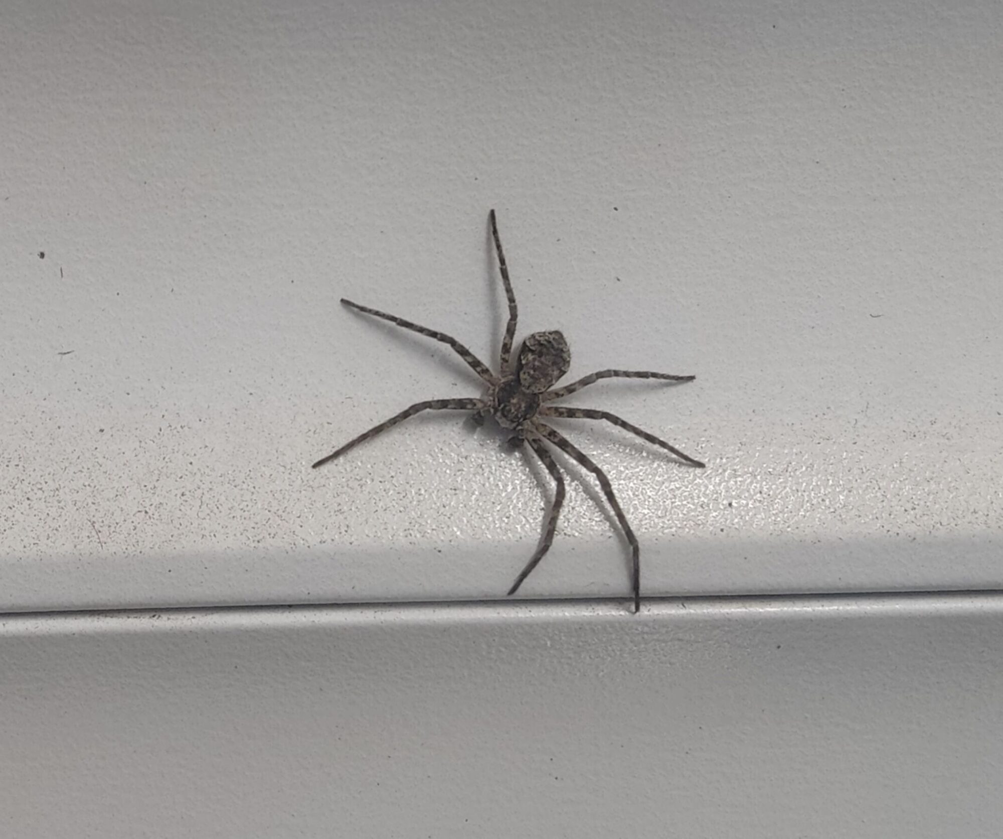 Valokuvaaja: Tuula Komsi