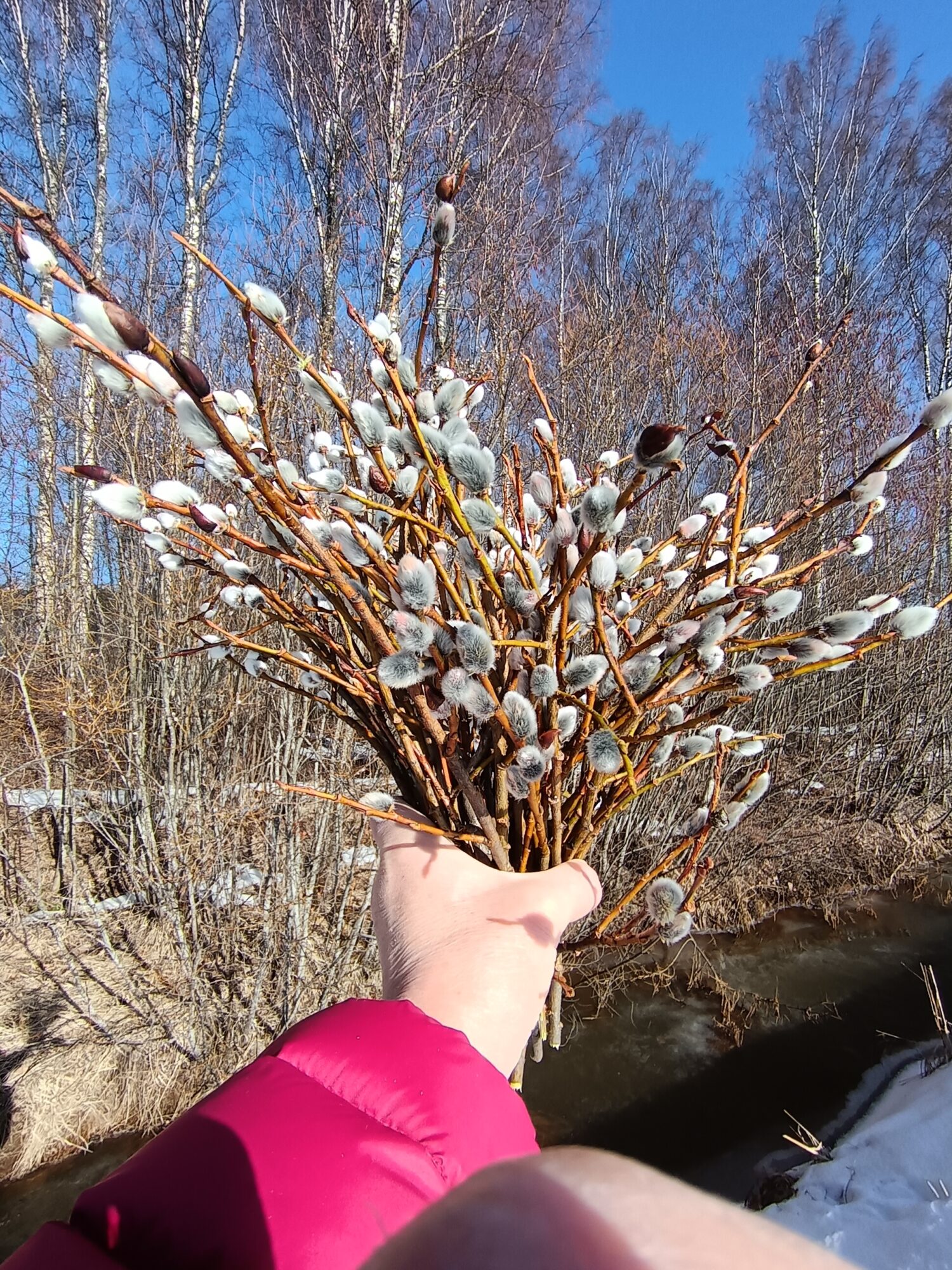 Valokuvaaja: riitta tossavainen Valokuvaaja: riitta tossavainen