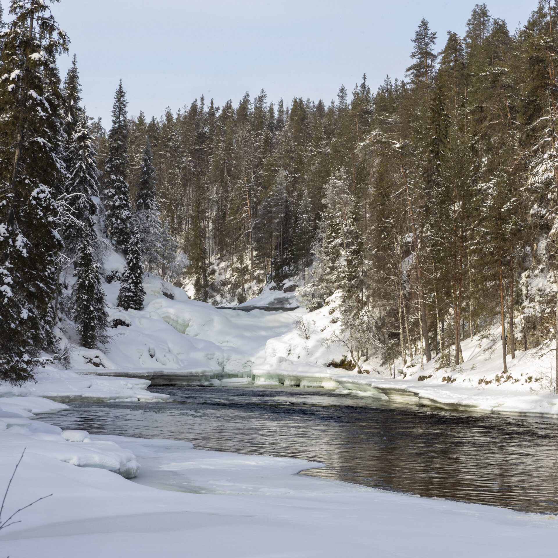 Valokuvaaja: Hannu Tikkanen Valokuvaaja: Hannu Tikkanen