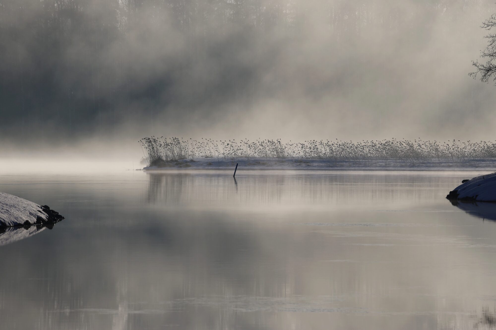 Valokuvaaja: Jaana Saarelainen
