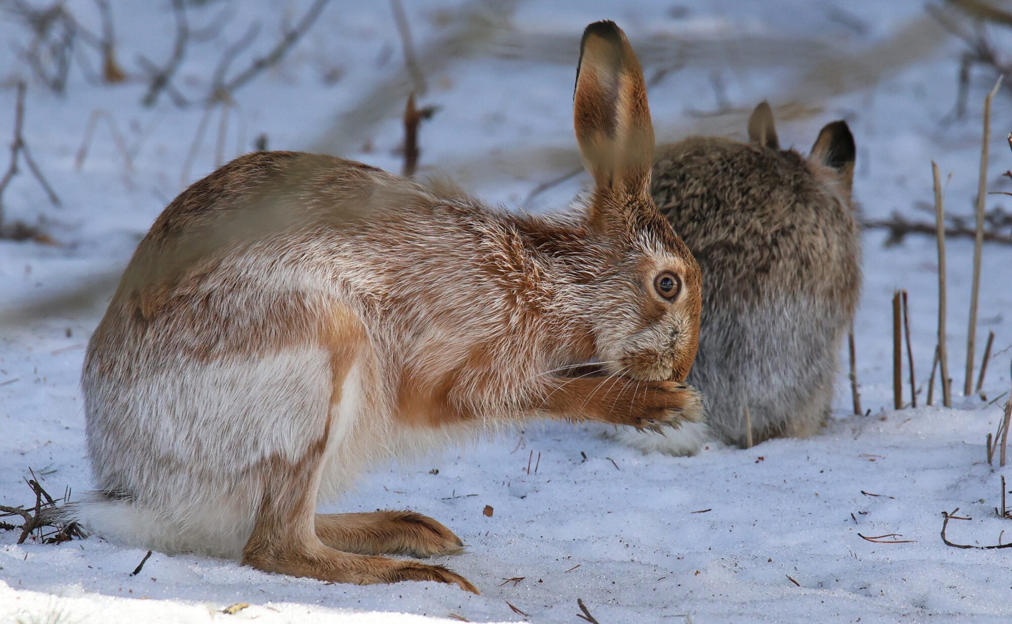Valokuvaaja: Jaana Saarelainen