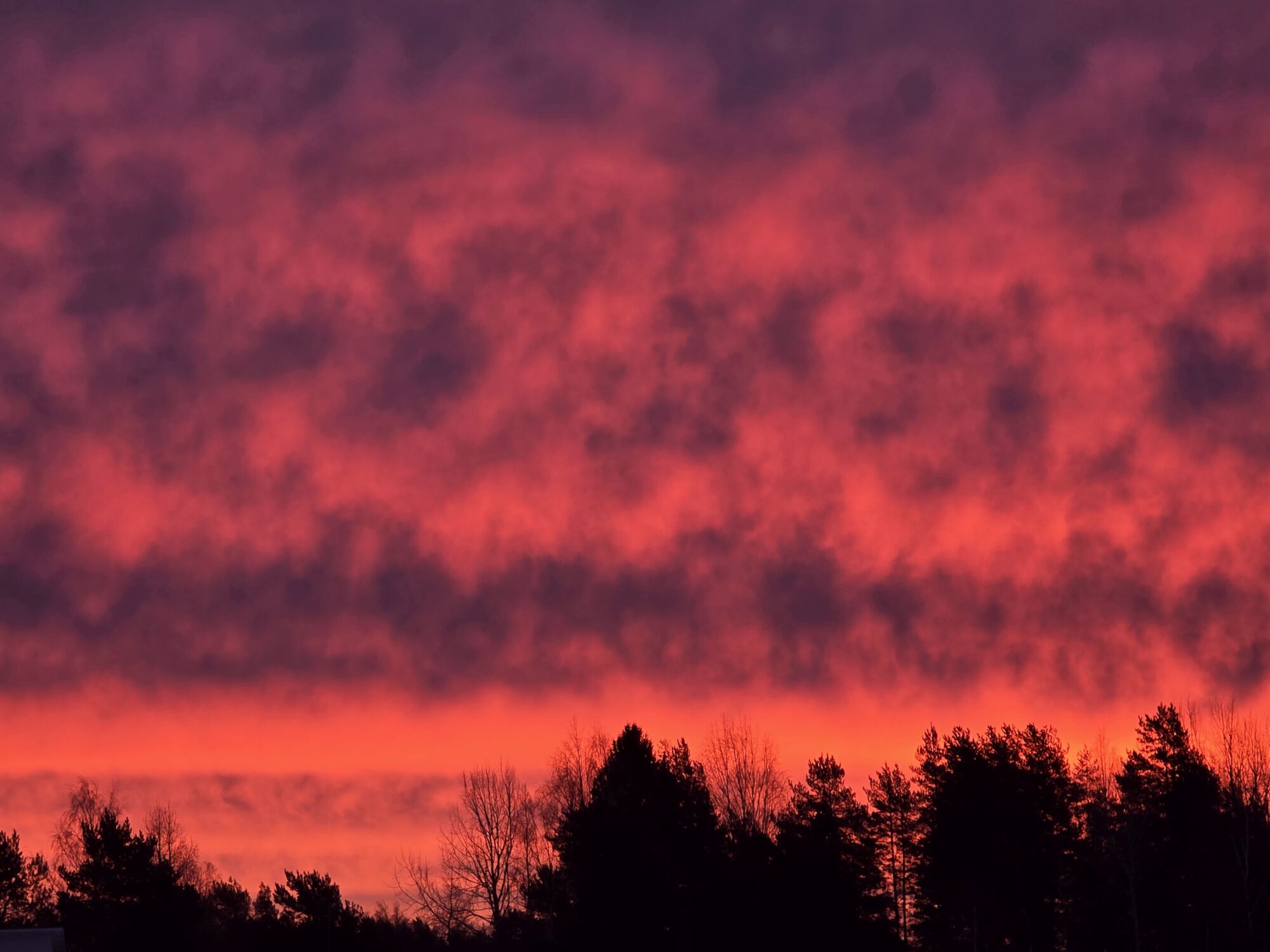 Valokuvaaja: Jaana Saarelainen