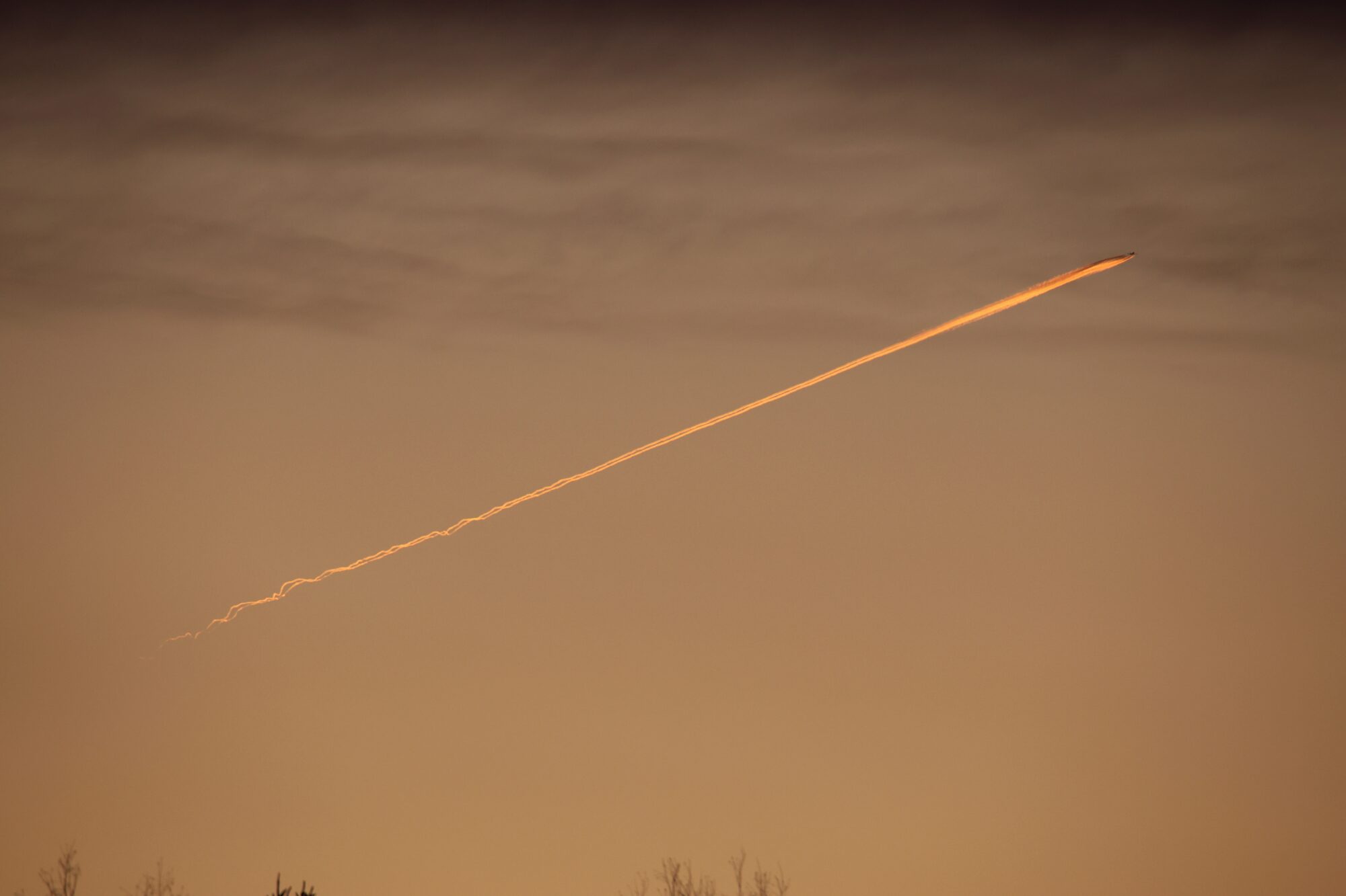 Valokuvaaja: Jaana Saarelainen Valokuvaaja: Jaana Saarelainen