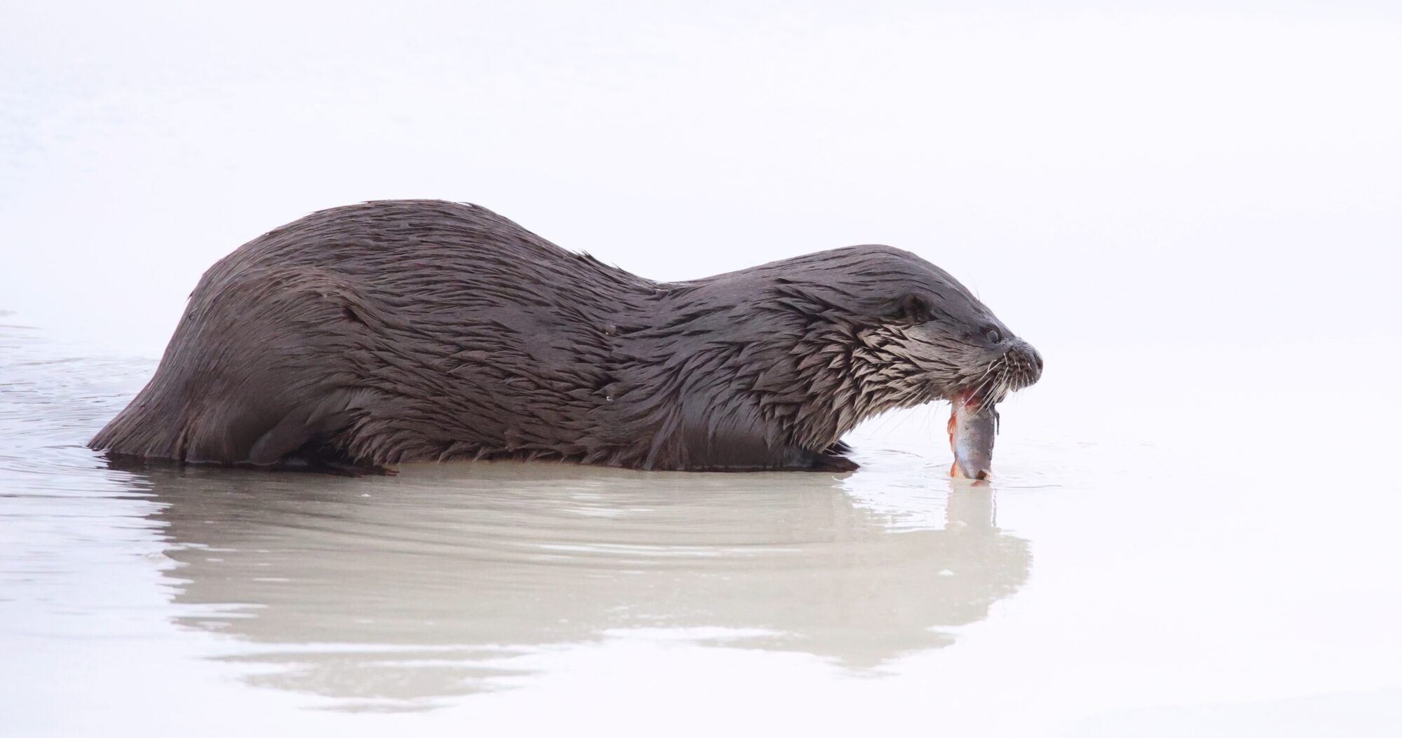 Valokuvaaja: Jaana Saarelainen