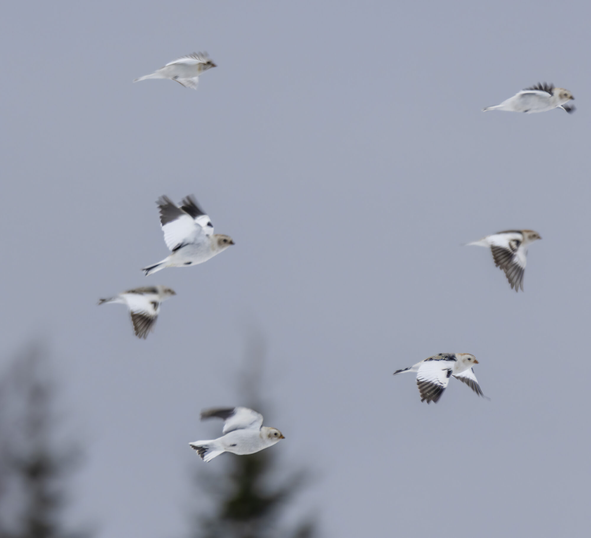 Valokuvaaja: Hannu Tikkanen