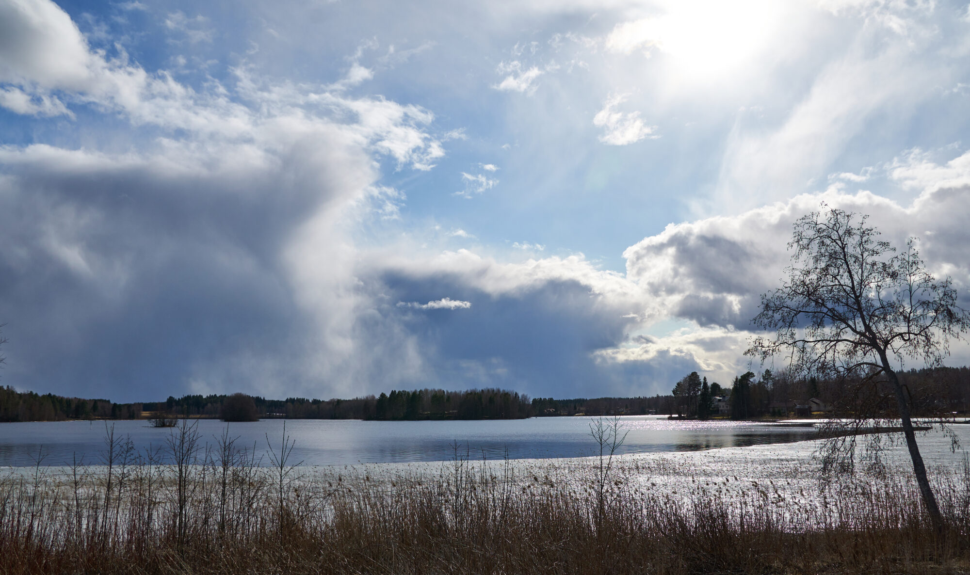 Valokuvaaja: Tarja Kouvo