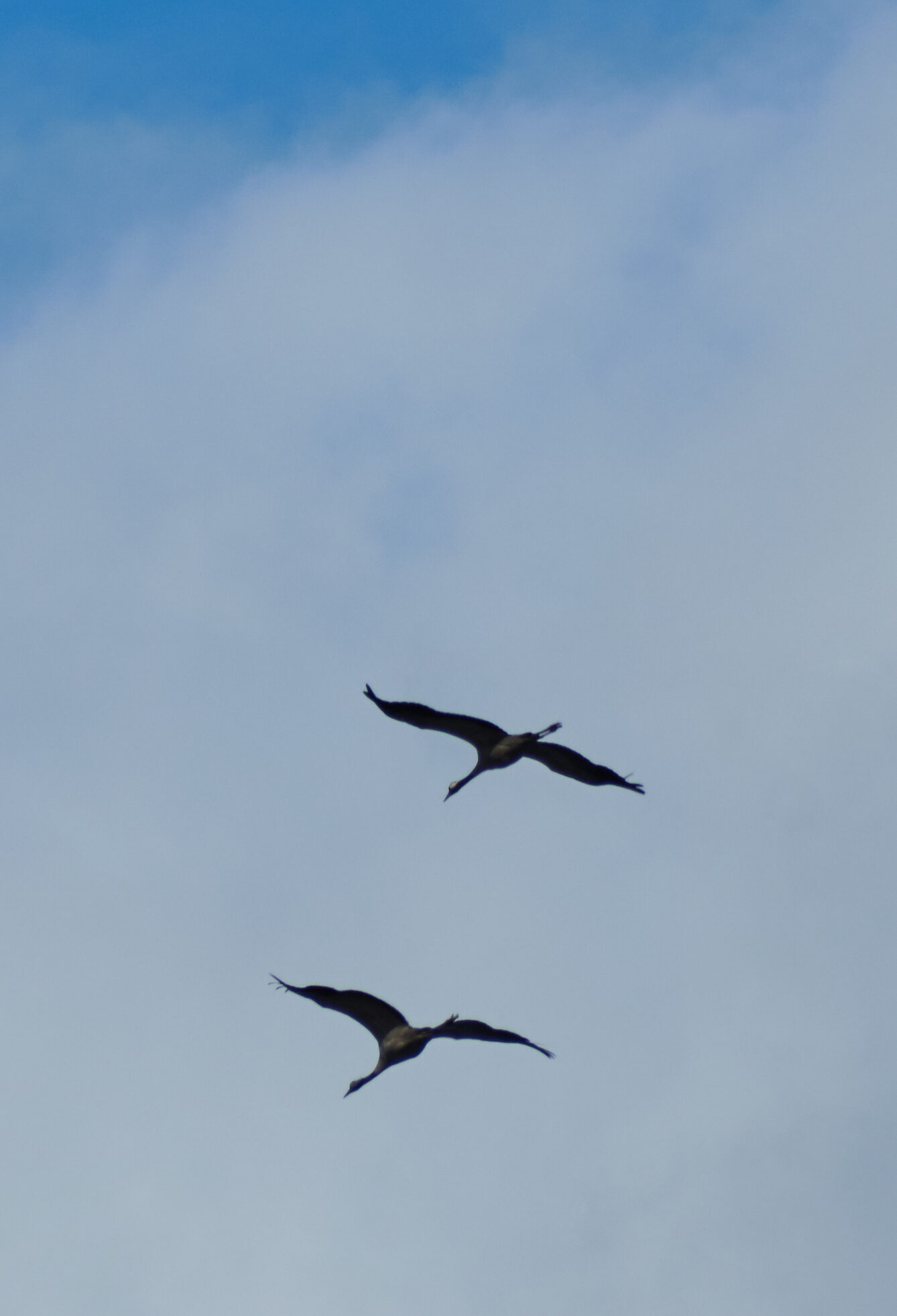 Valokuvaaja: Tarja Kouvo