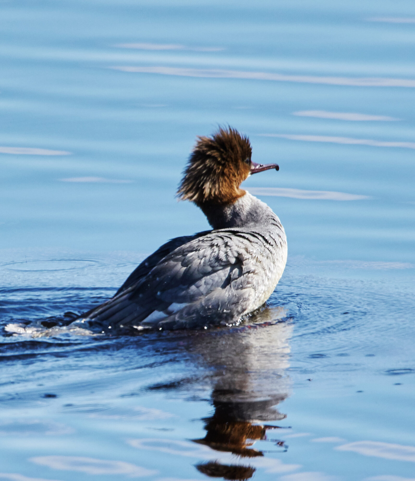 Valokuvaaja: Tarja Kouvo