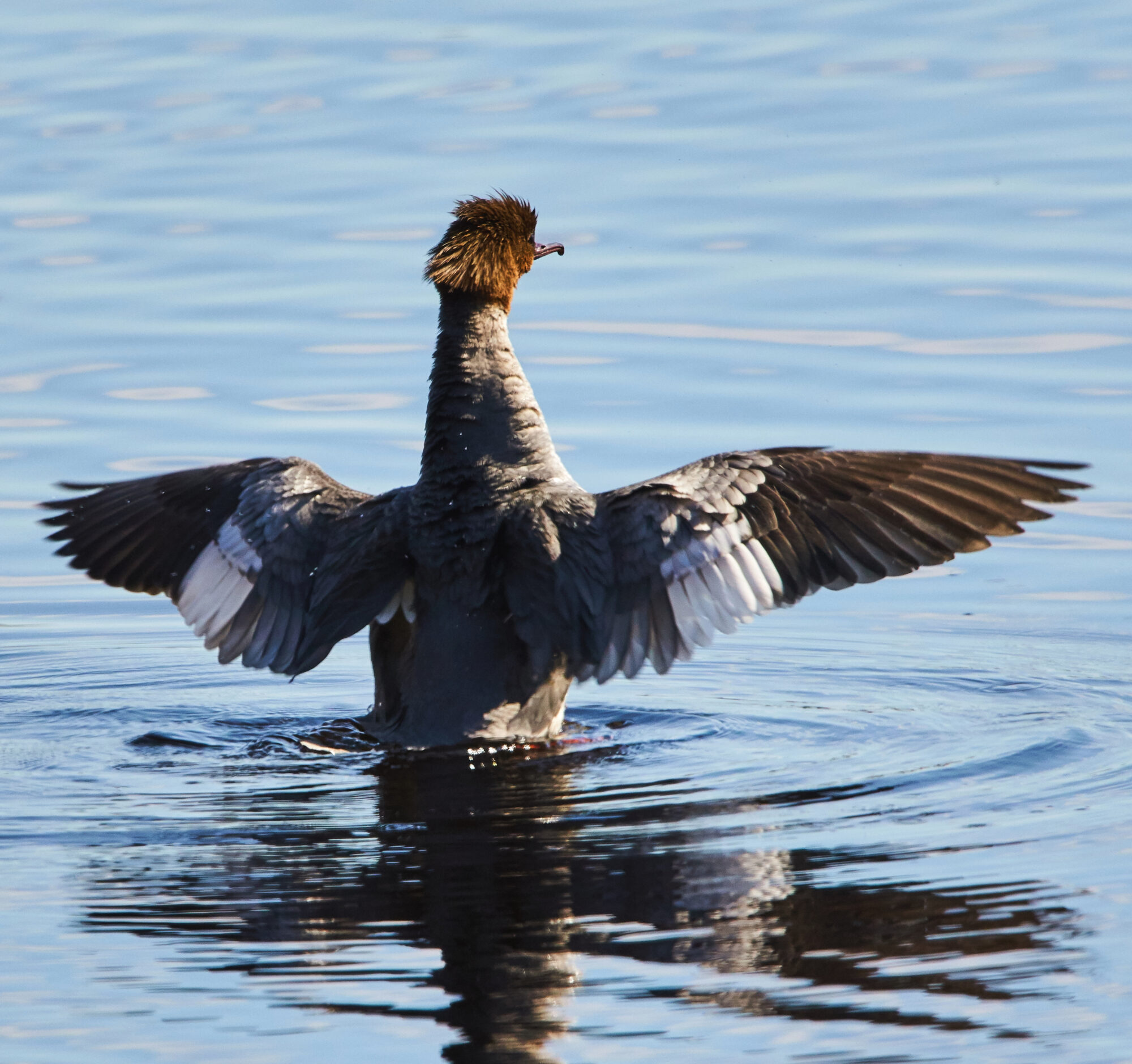 Valokuvaaja: Tarja Kouvo
