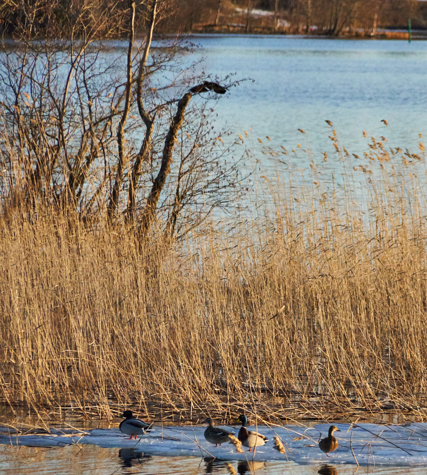 Valokuvaaja: Tarja Kouvo