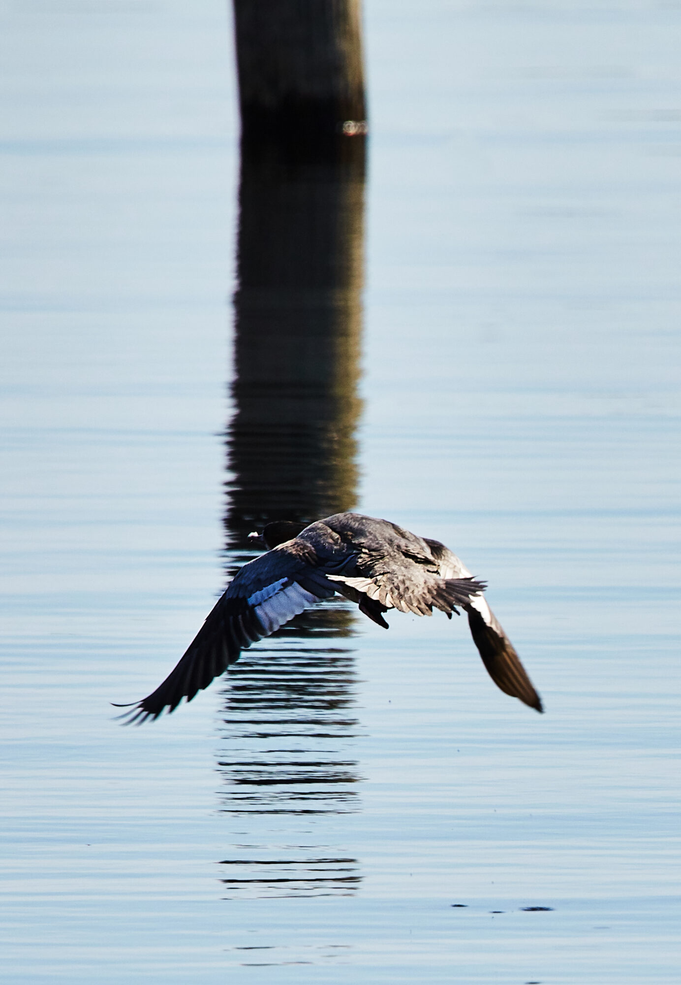 Valokuvaaja: Tarja Kouvo